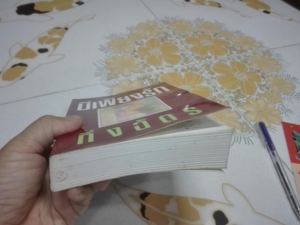 มีเพียงรัก (เล่มเดียวจบ) โดย กิ่งฉัตร