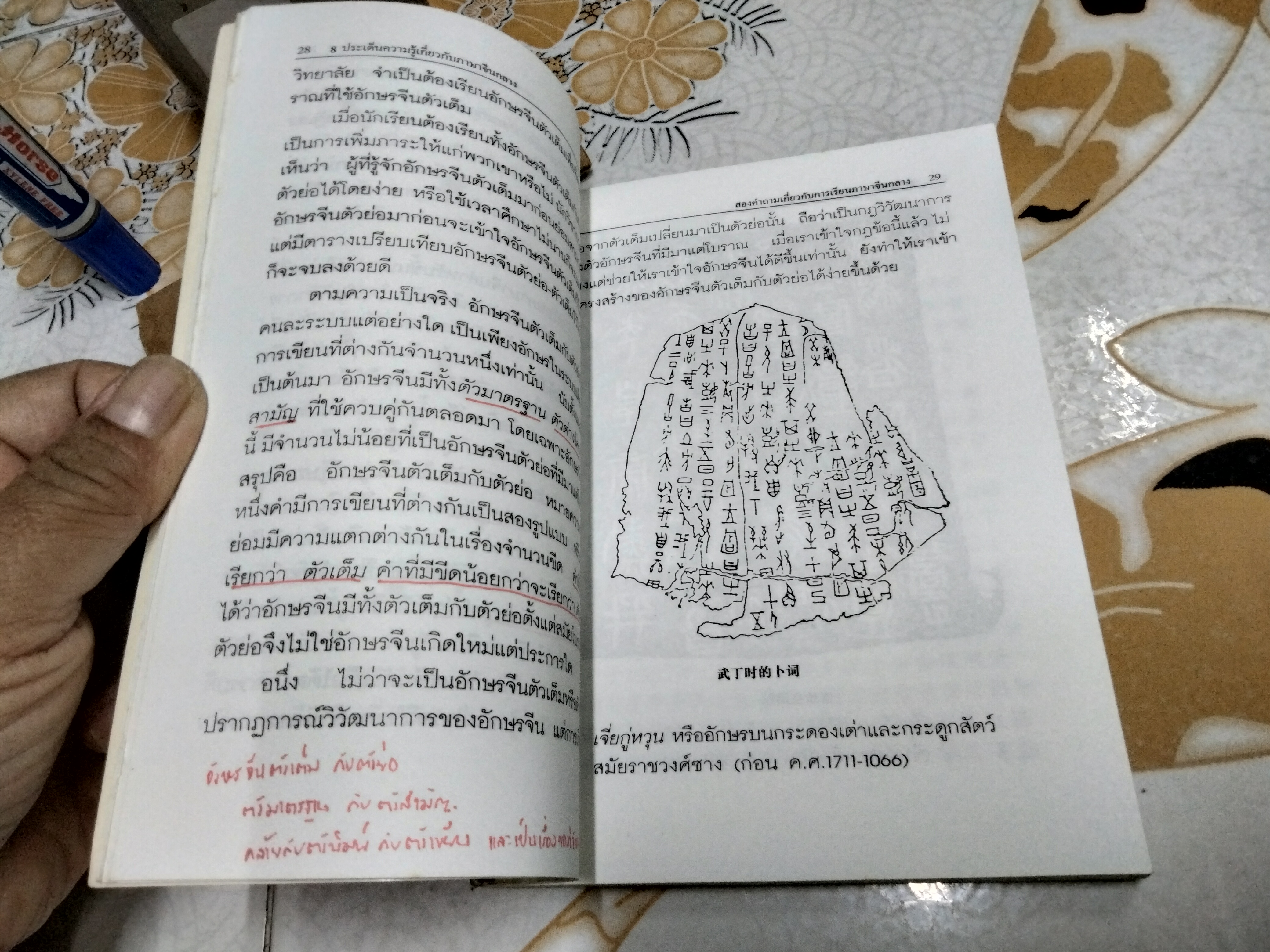 8 ประเด็นความรู้เกี่ยวกับภาษาจีนกลาง / ตารางเปรียบเทียบอักษรจีนตัวย่อ-ตัวเต็ม โดย ก่อศักดิ์ ธรรมเจริญกิจ พิมพ์ครั้งแรก พ.ศ 2543 **สินค้าหมด**