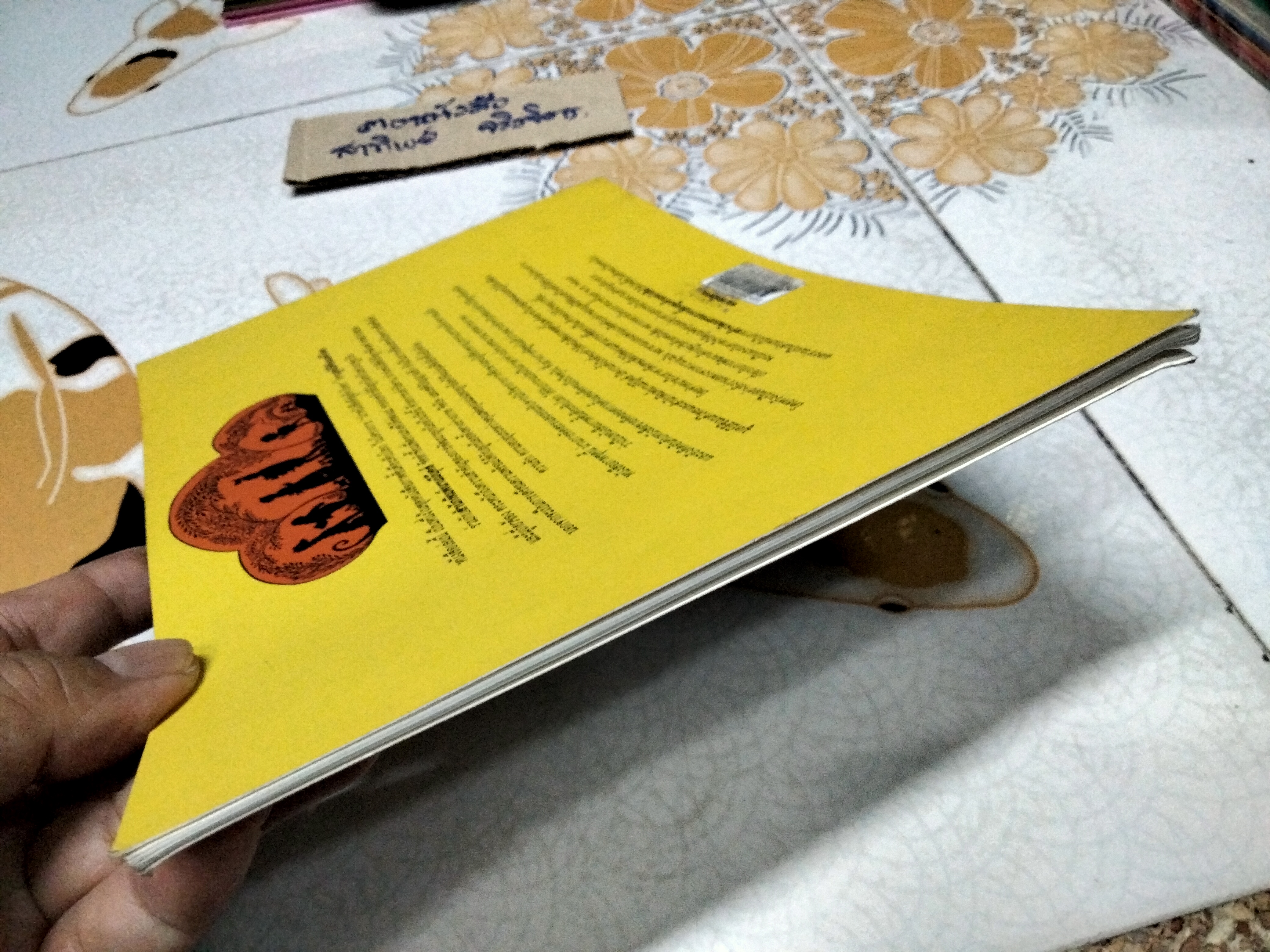 แมวล้านตัว (Millions of cats) เรื่องและภาพโดย แวนดา ก็อก - ชีวัน วิสาสะ แปล , พิมพ์ครั้งที่ 3-2552