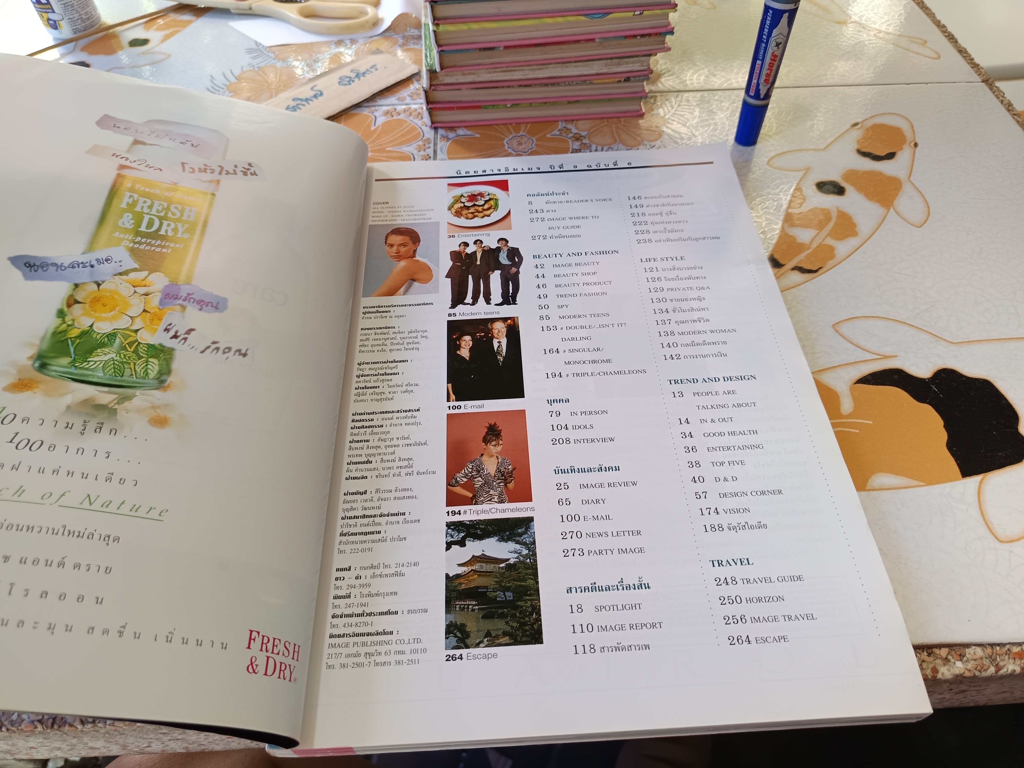 Image ปีที่ 9 ฉบับที่ 6 พ.ศ 2539 / ปก มาช่า วัฒนพานิช