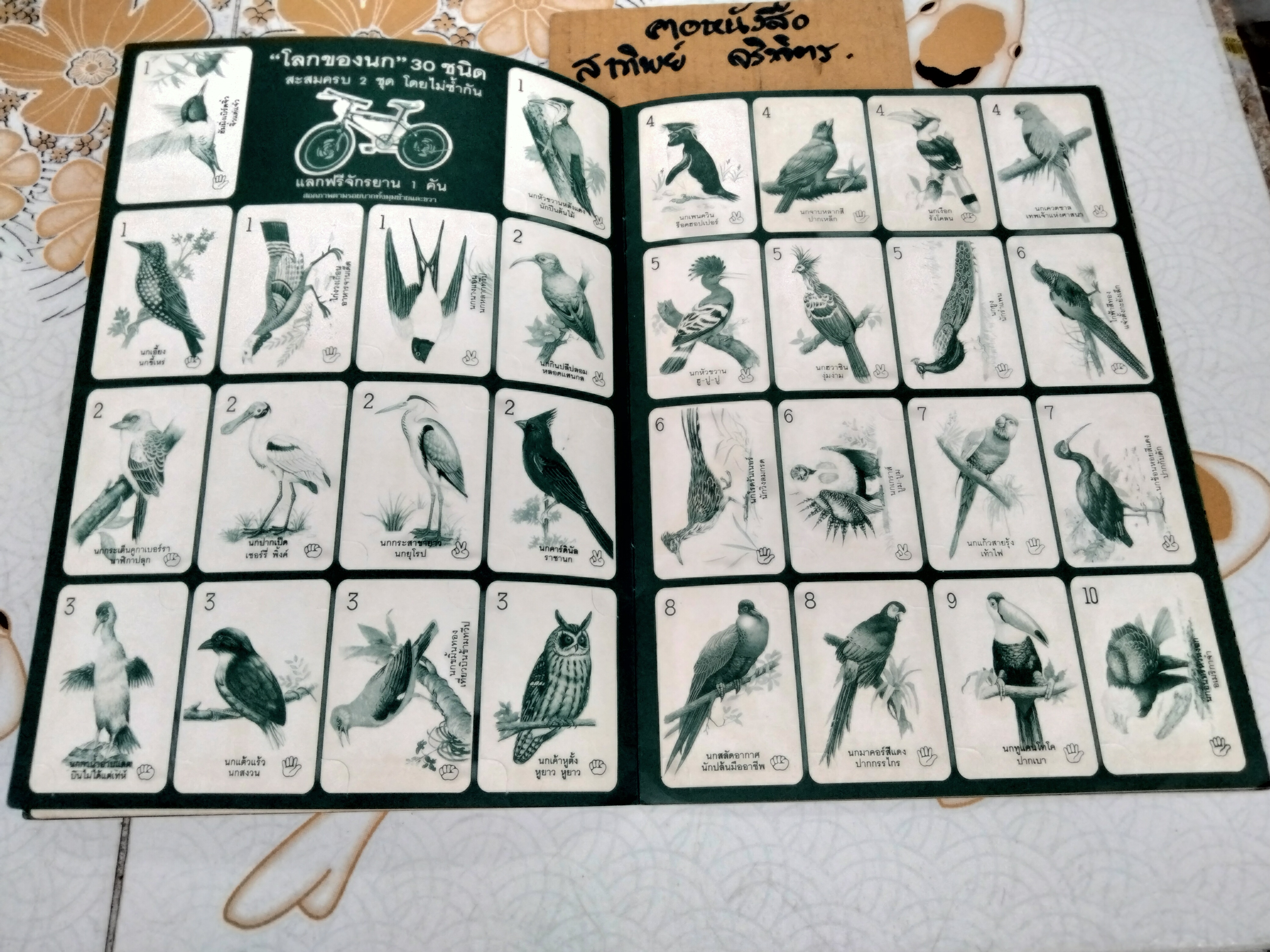 สมุดสะสมภาพ - สัตว์โลกแสนรัก (สมุดเปล่า) **สินค้าหมด**