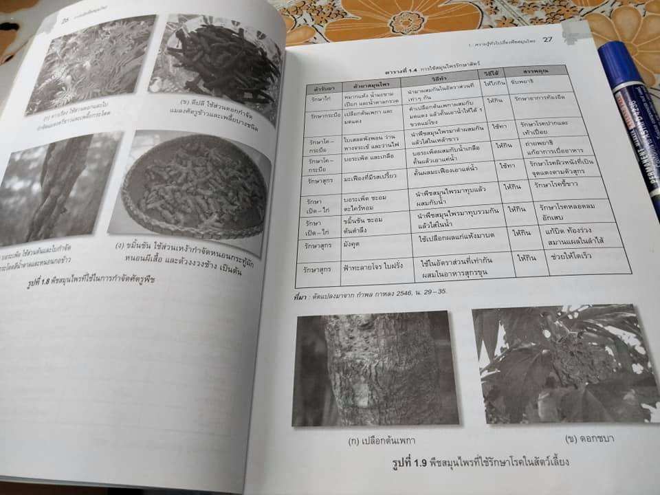 การผลิตพืชสมุนไพร - มณฑา ลิมปิยประพันธ์