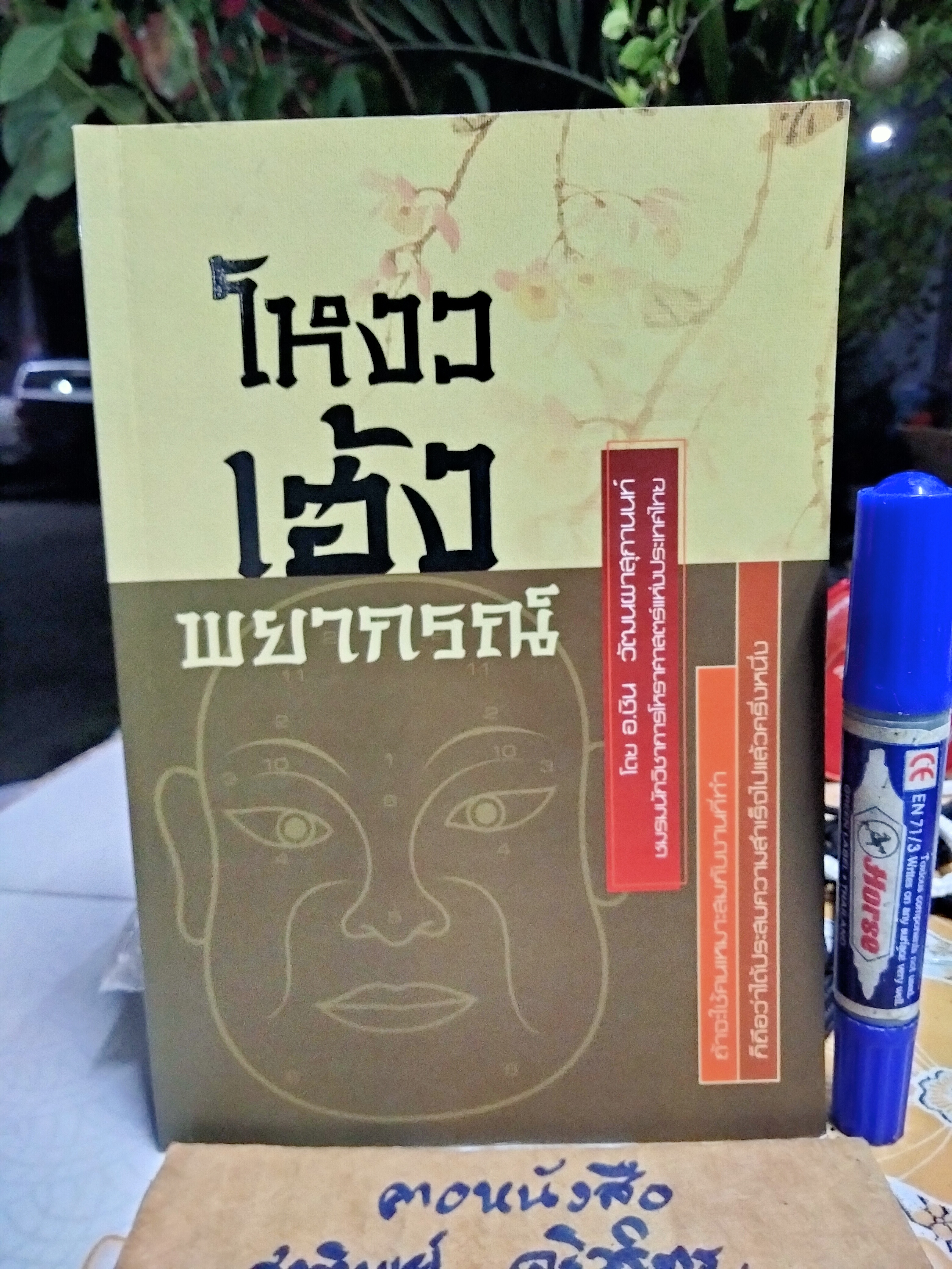 โหงวเฮ้งพยากรณ์ อ.ชิน วัฒนผาสุกานนท์ สนพ.แสงดาว พิมพ์ พ.ศ.2550 **สินค้าหมด**