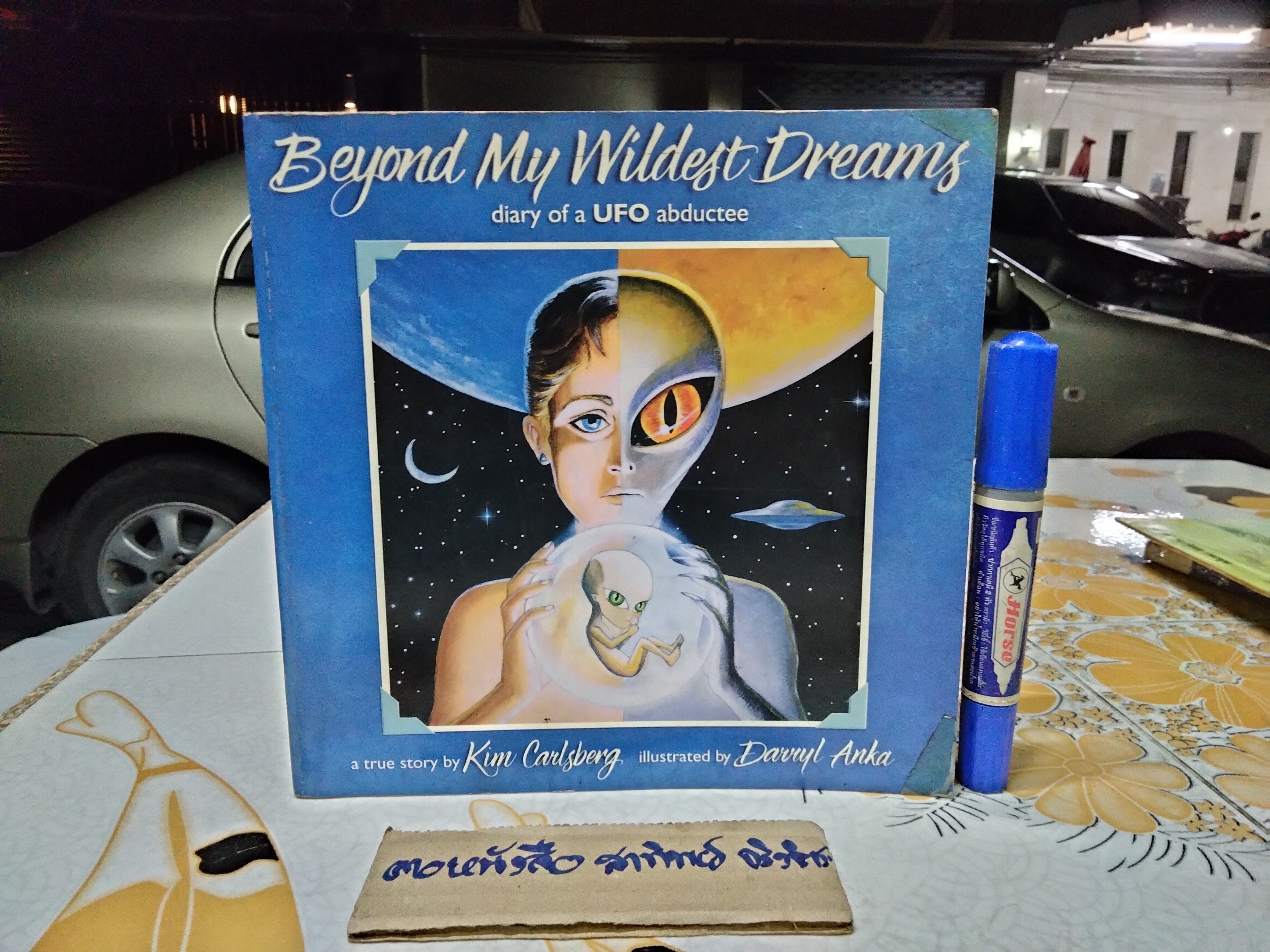 Beyond My Wildest Dreams : Diary of a UFO Abductee Kim Carlsberg , 1995