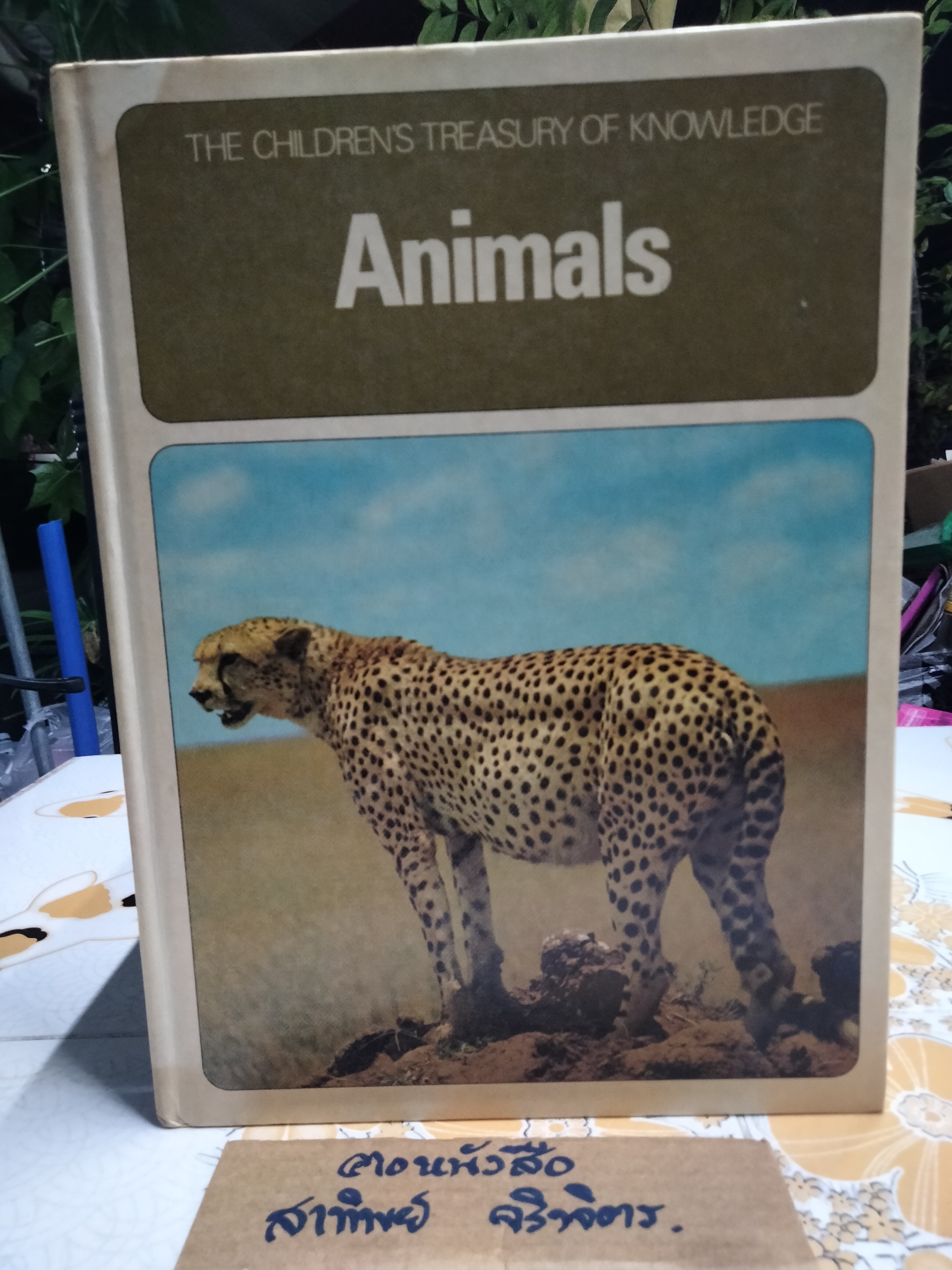 The Children's Treasurey of Knowledge (10 เล่มชุด)