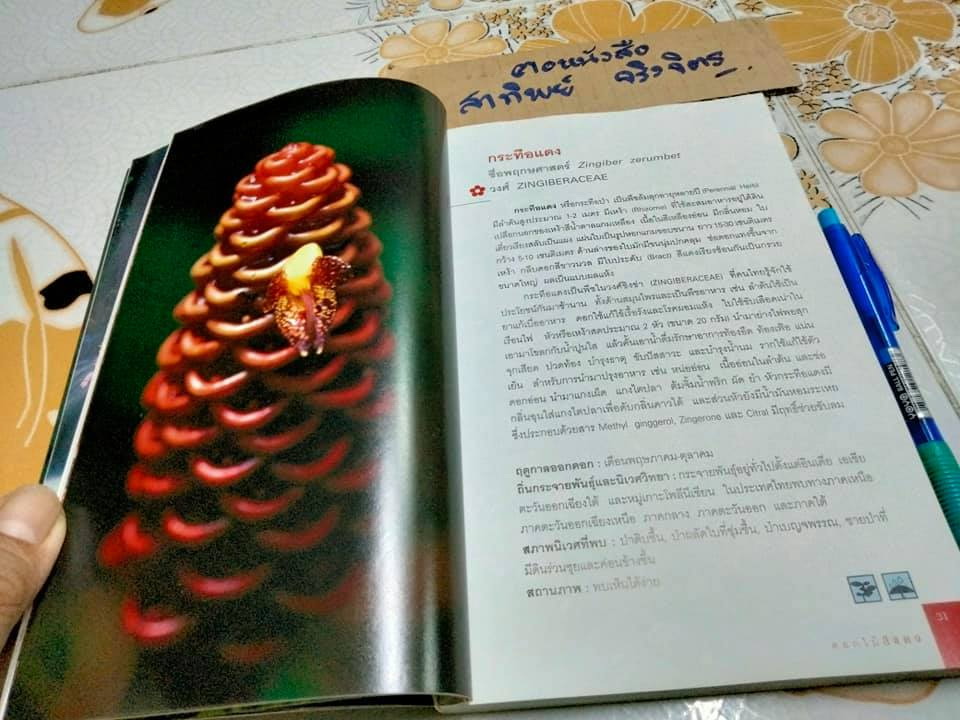 มหัศจรรย์ดอกไม้ป่า เล่ม 1 - ชาธร สิทธิเคหภาค