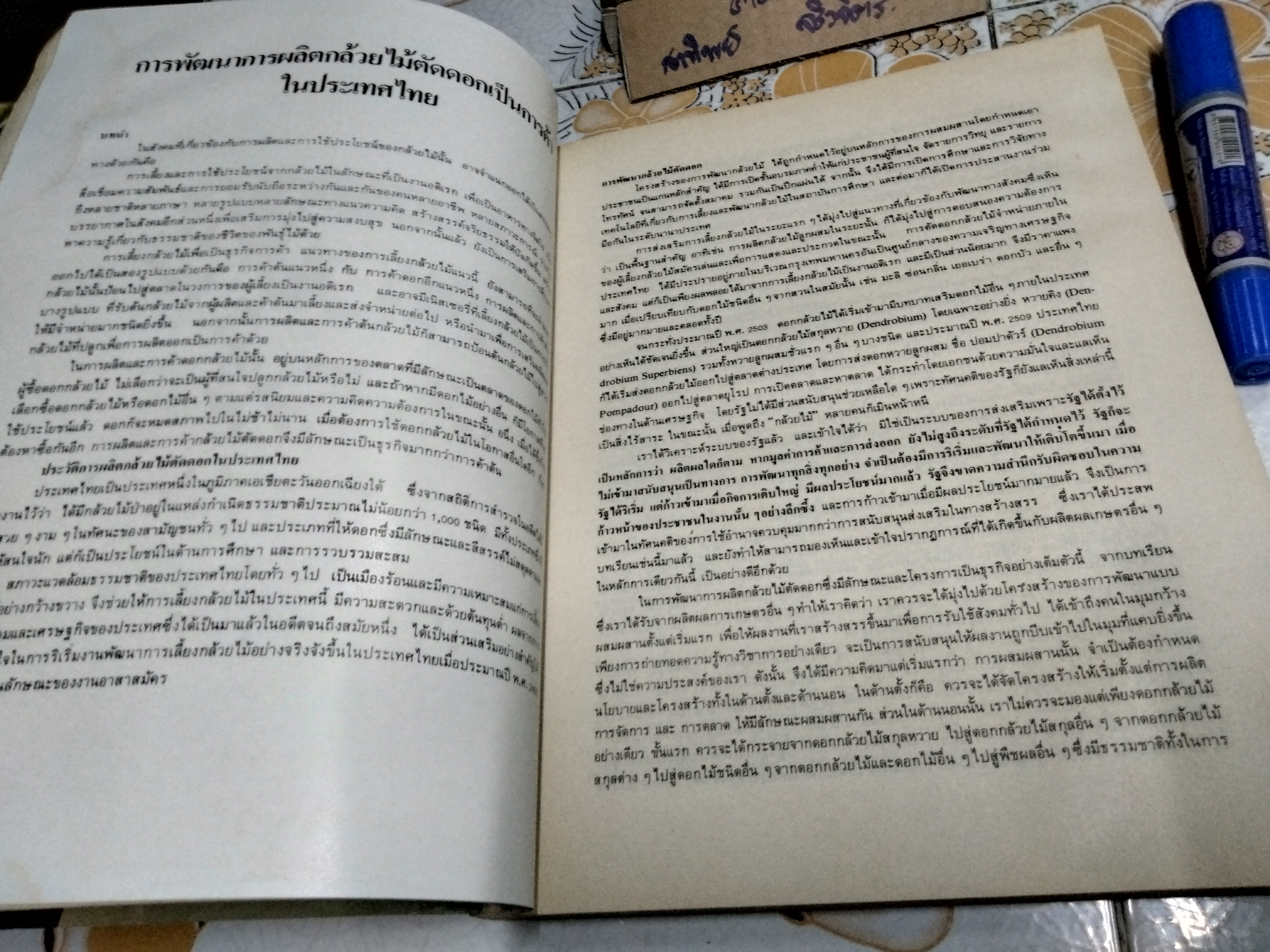 เพียงข้าวเมล็ดเดียว โดย ศาสตราจารย์ ระพี สาคริก พิมพ์ พ.ศ.2525 **สินค้าหมด**