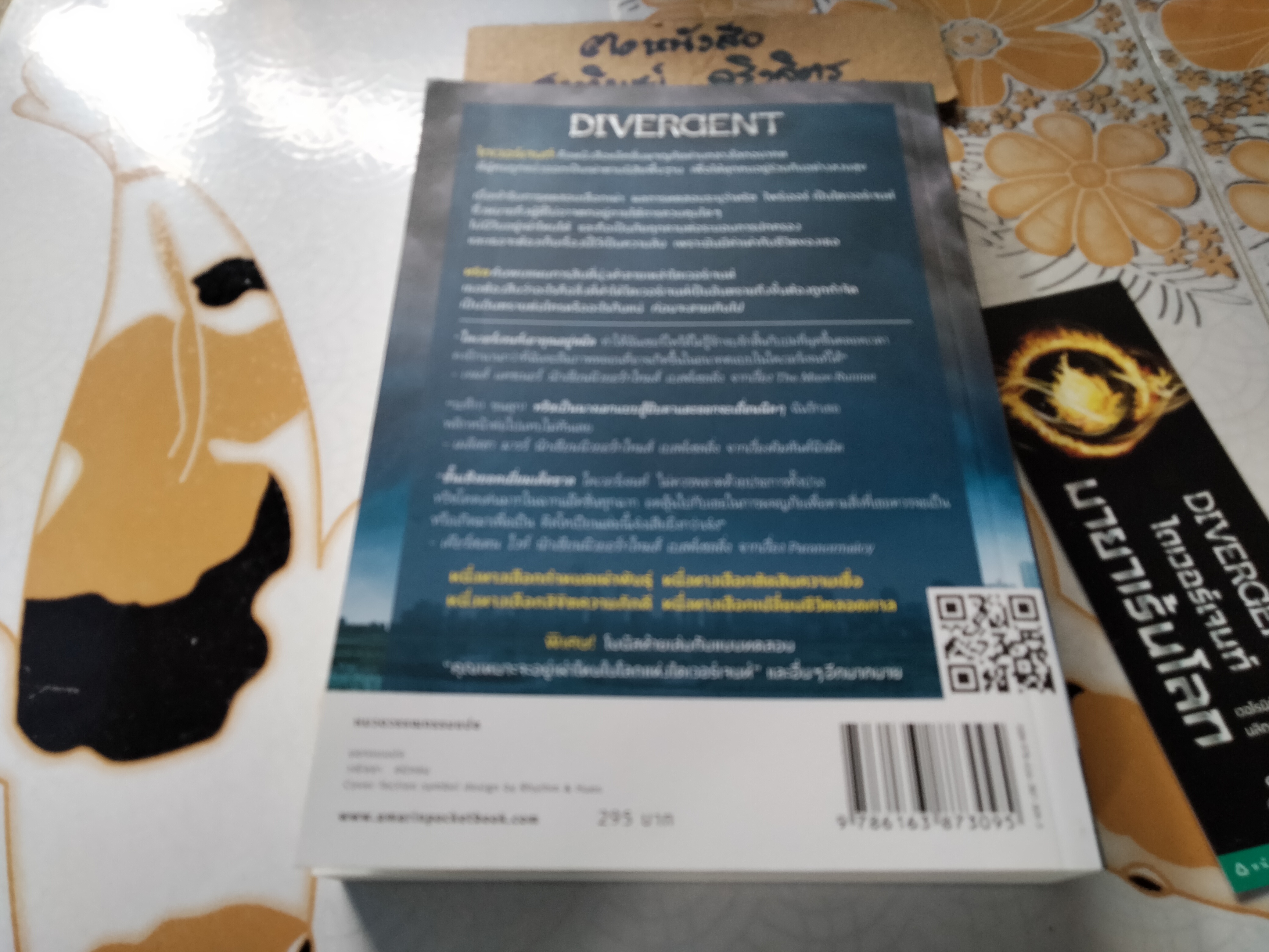 ไดเวอร์เจนท์ มายาเร้นโลก DIVERGENT