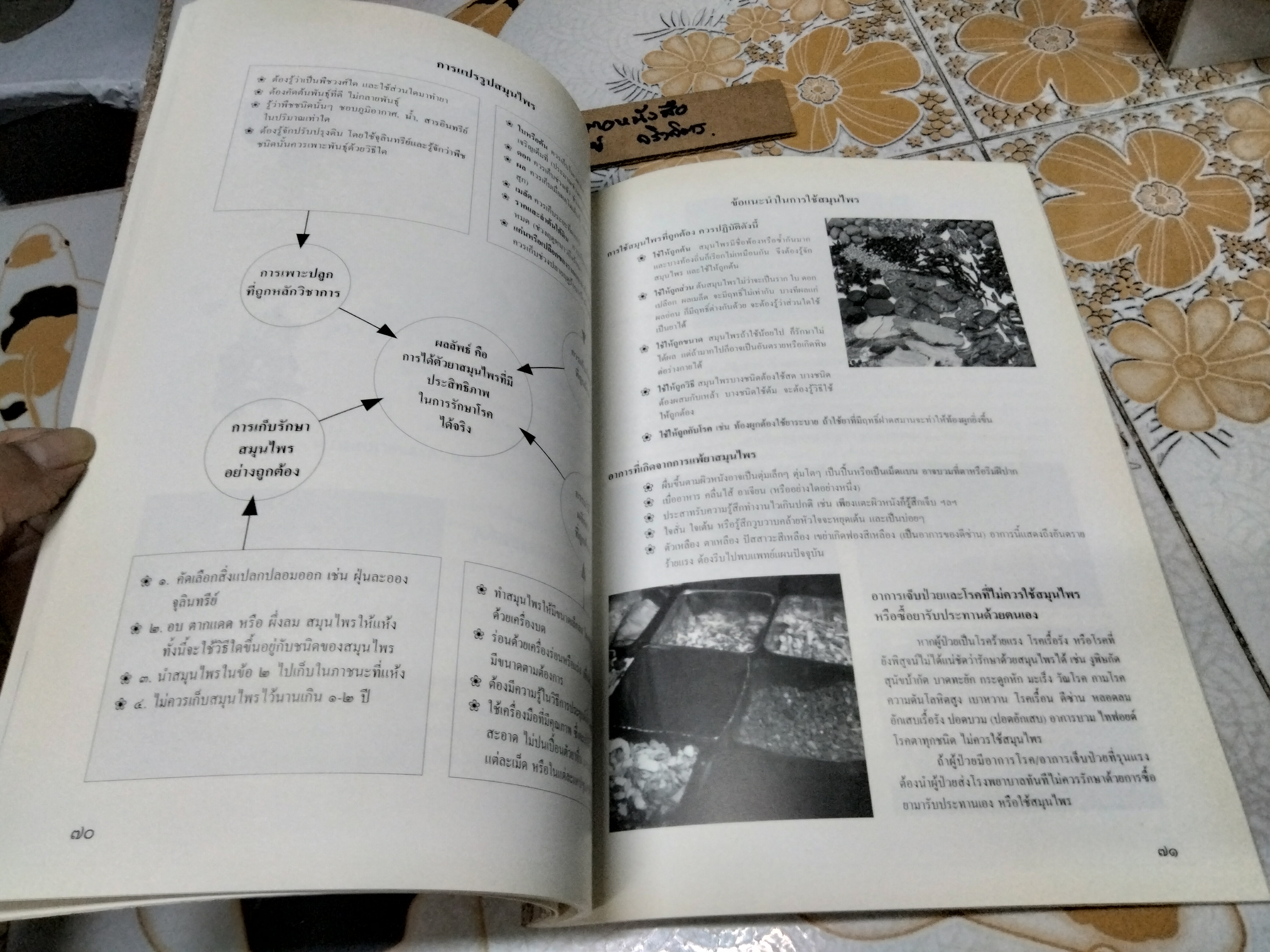 ชุมนุมแพทย์แผนไทย และสมุนไพรแห่งชาติ ครั้งที่ 2 /2541