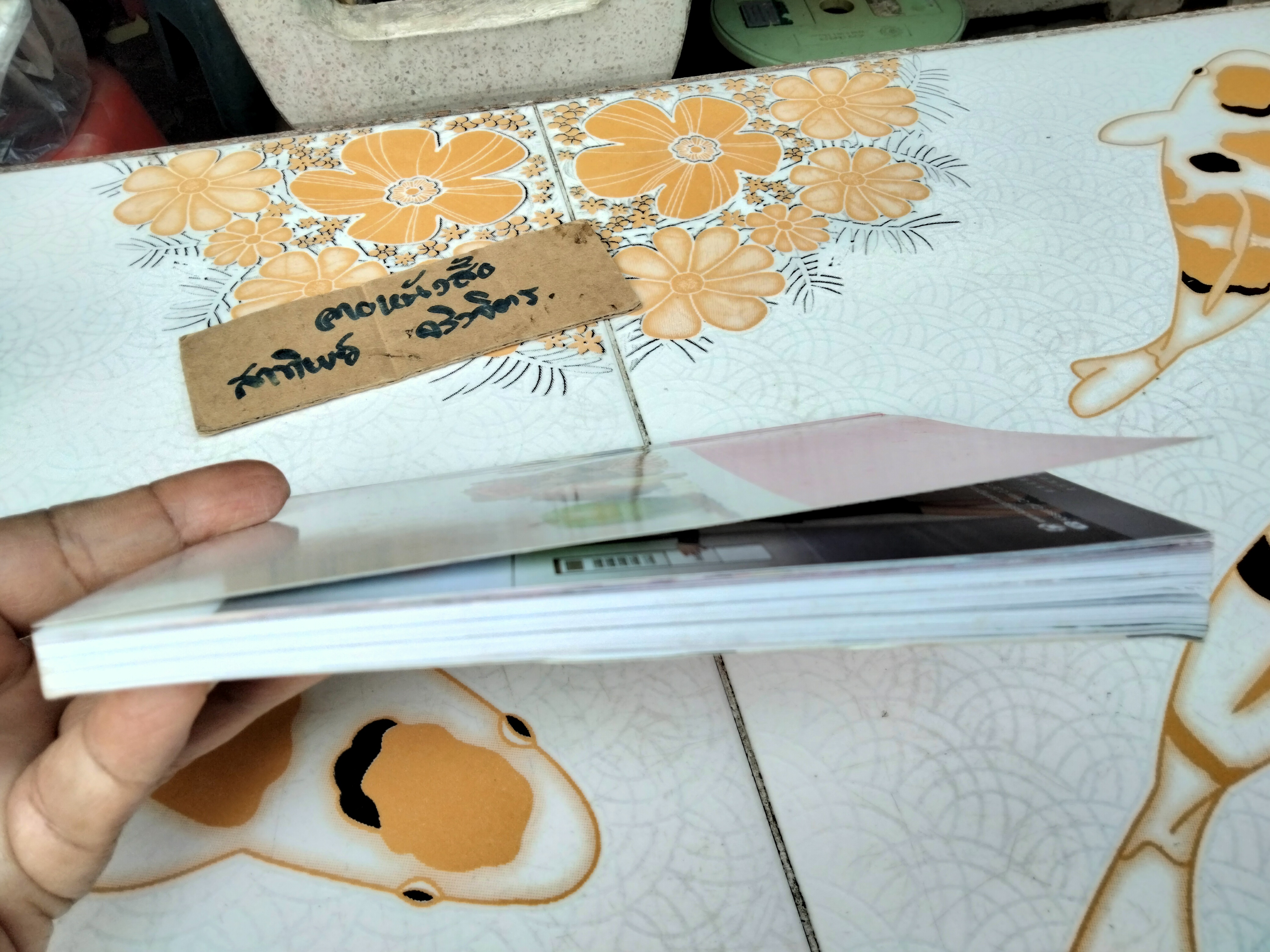 มหัศจรรย์ สมุนไพรจีน - หนังสืออภินันทนาการ โดย บ.หลักทรัพย์จัดการกองทุน กสิกรไทย จำกัด