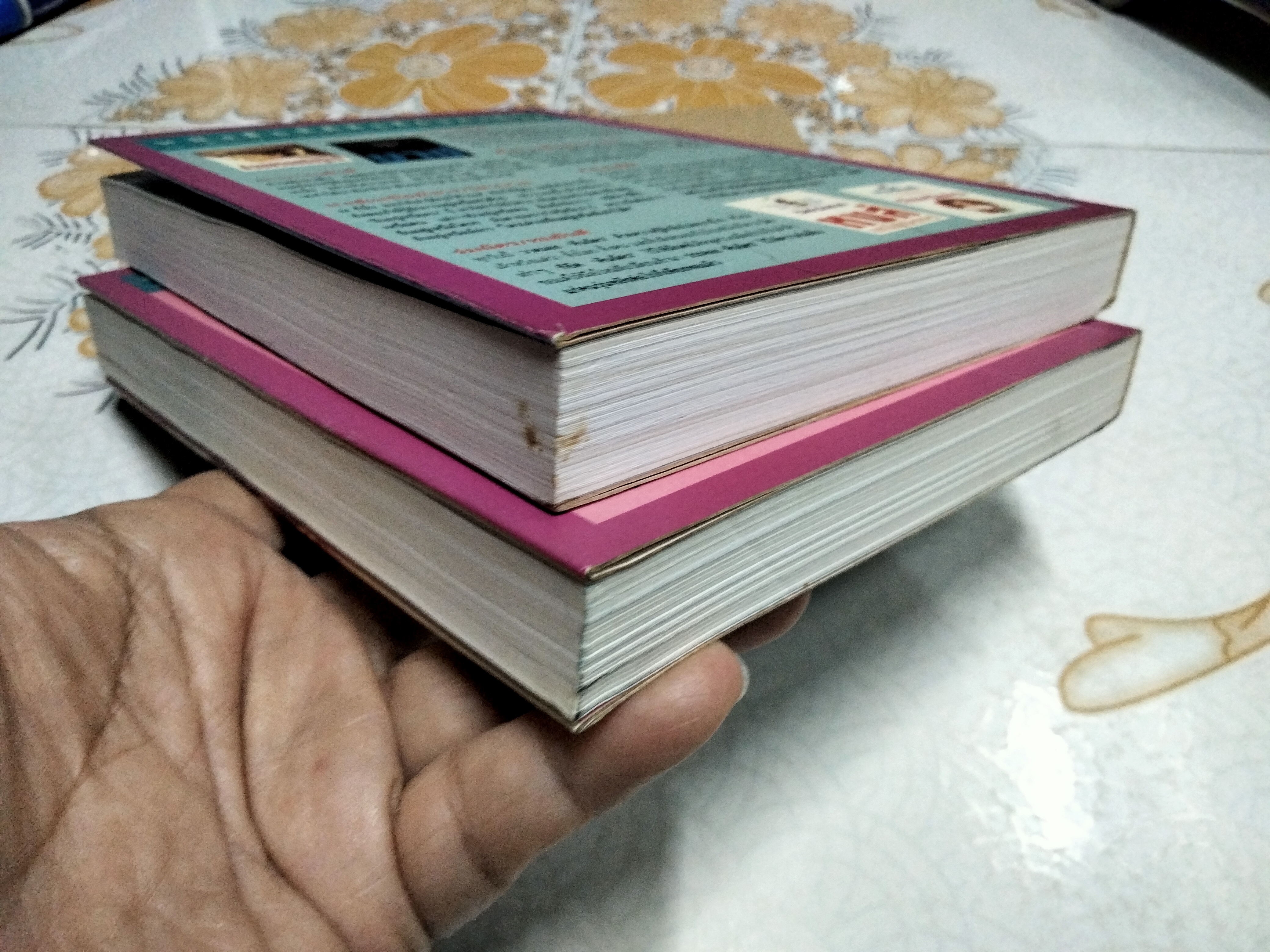 รักในสายหมอก (2 เล่มจบ) โสภาค สุวรรณ **สินค้าหมด**