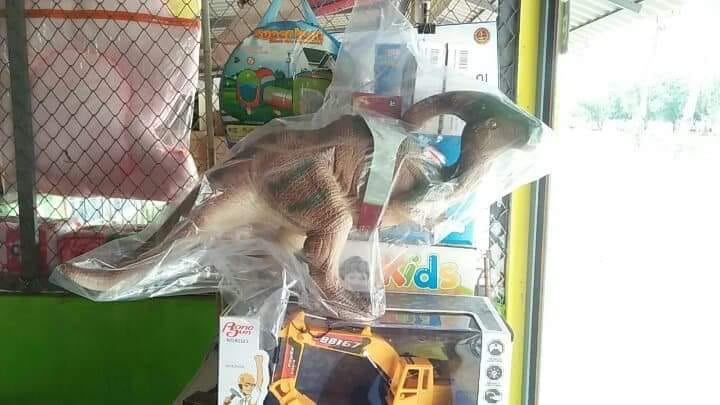 ไดโนเสาร์หัวโหนก