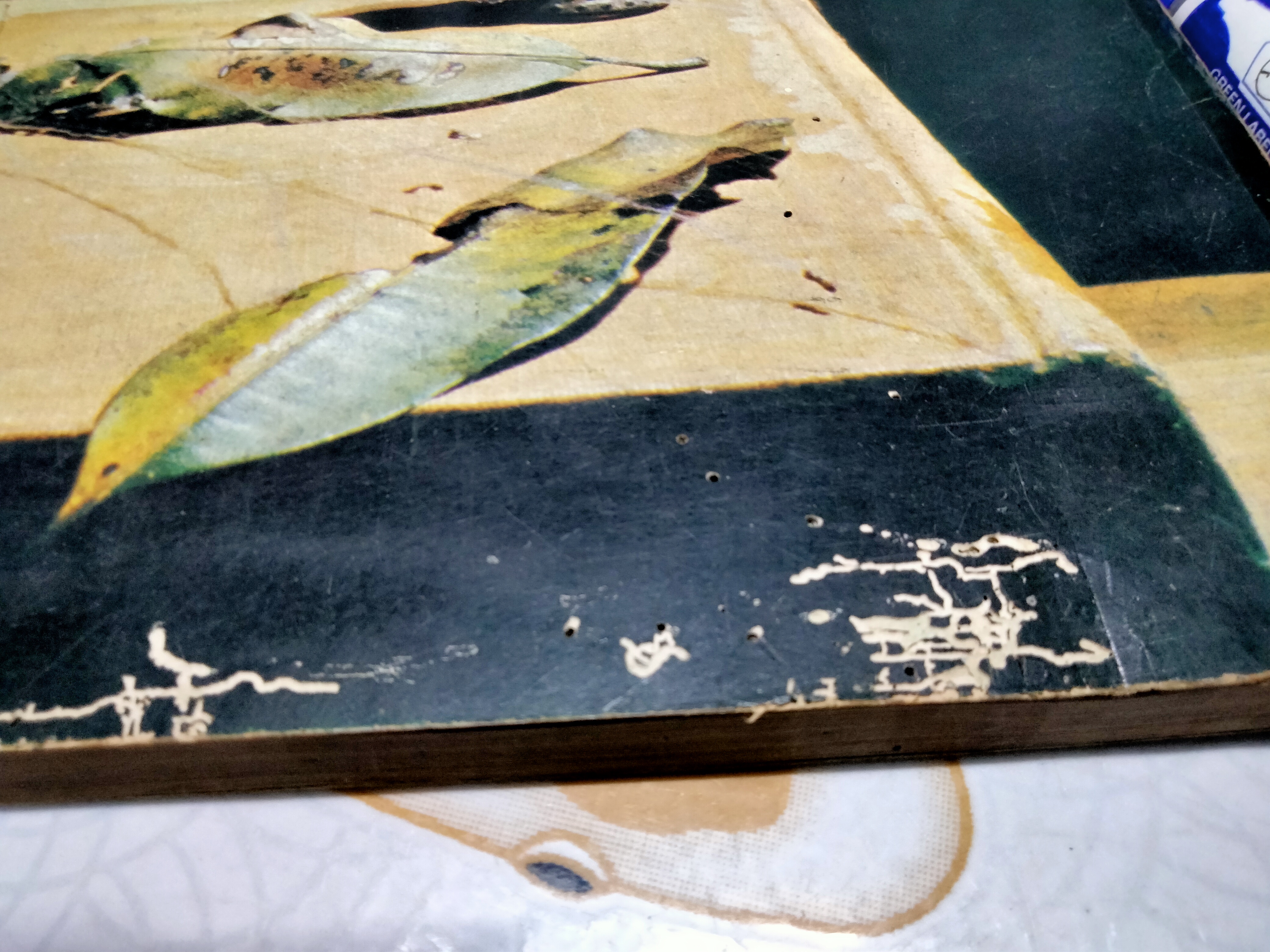 SONG AND SENTIMENTS 1 (จ.ย.ส.) พิมพ์ปี 2519 - มีรอยมอดเจาะ