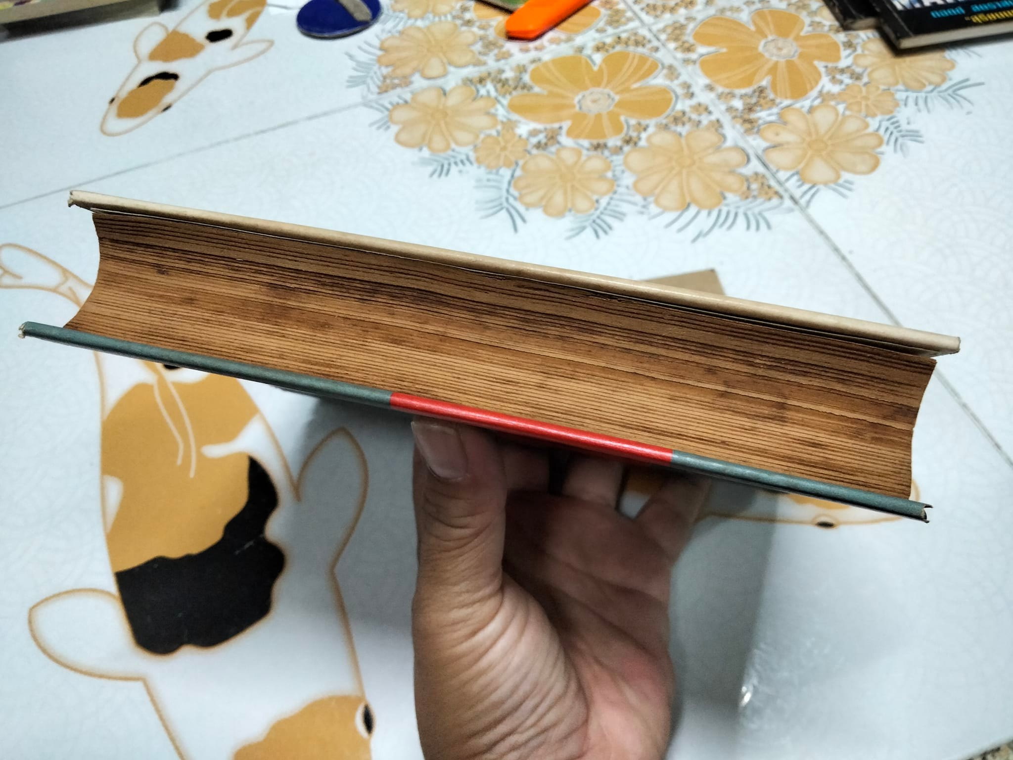 ฮิตเลอร์ จอมเผด็จการ โดย วิสันต์ บัณฑะวงศ์