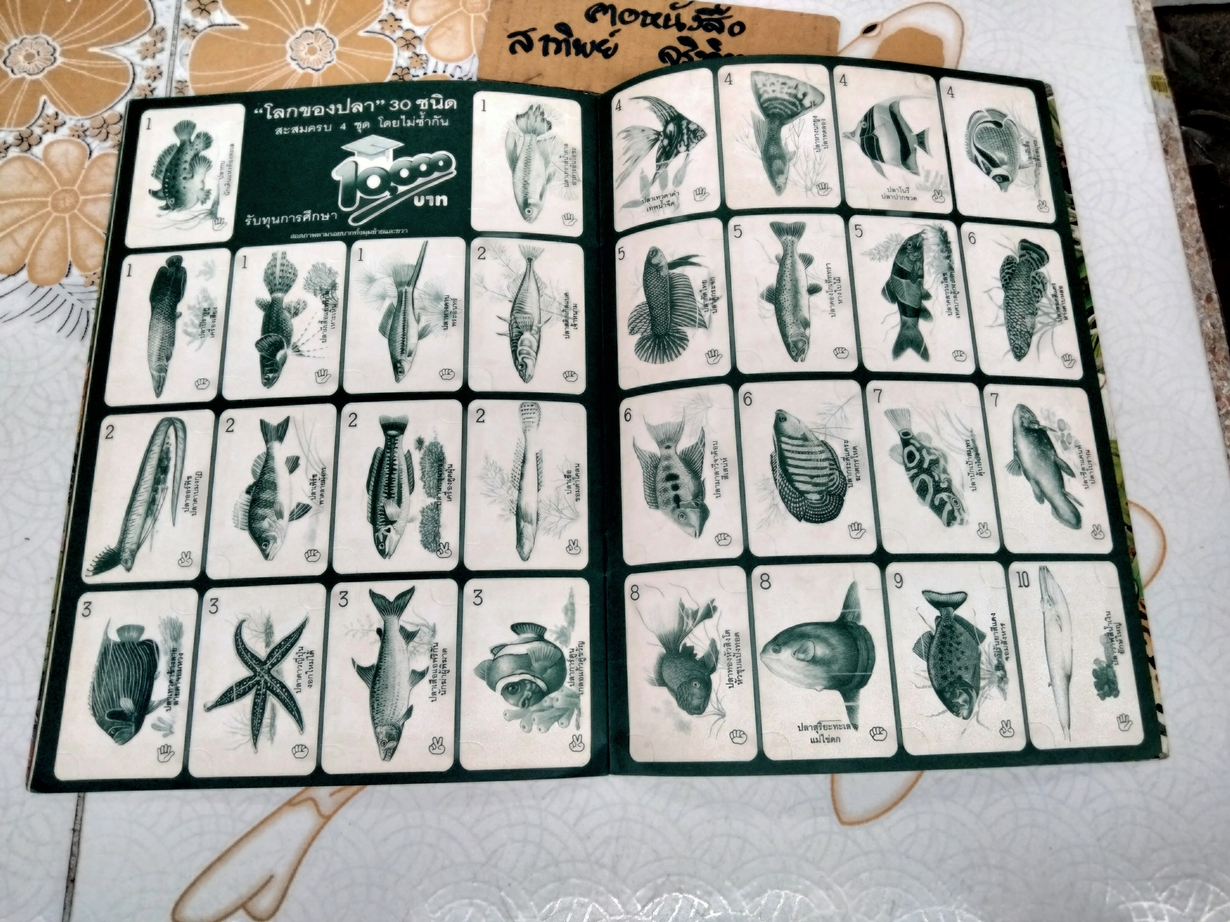 สมุดสะสมภาพ - สัตว์โลกแสนรัก (สมุดเปล่า) **สินค้าหมด**