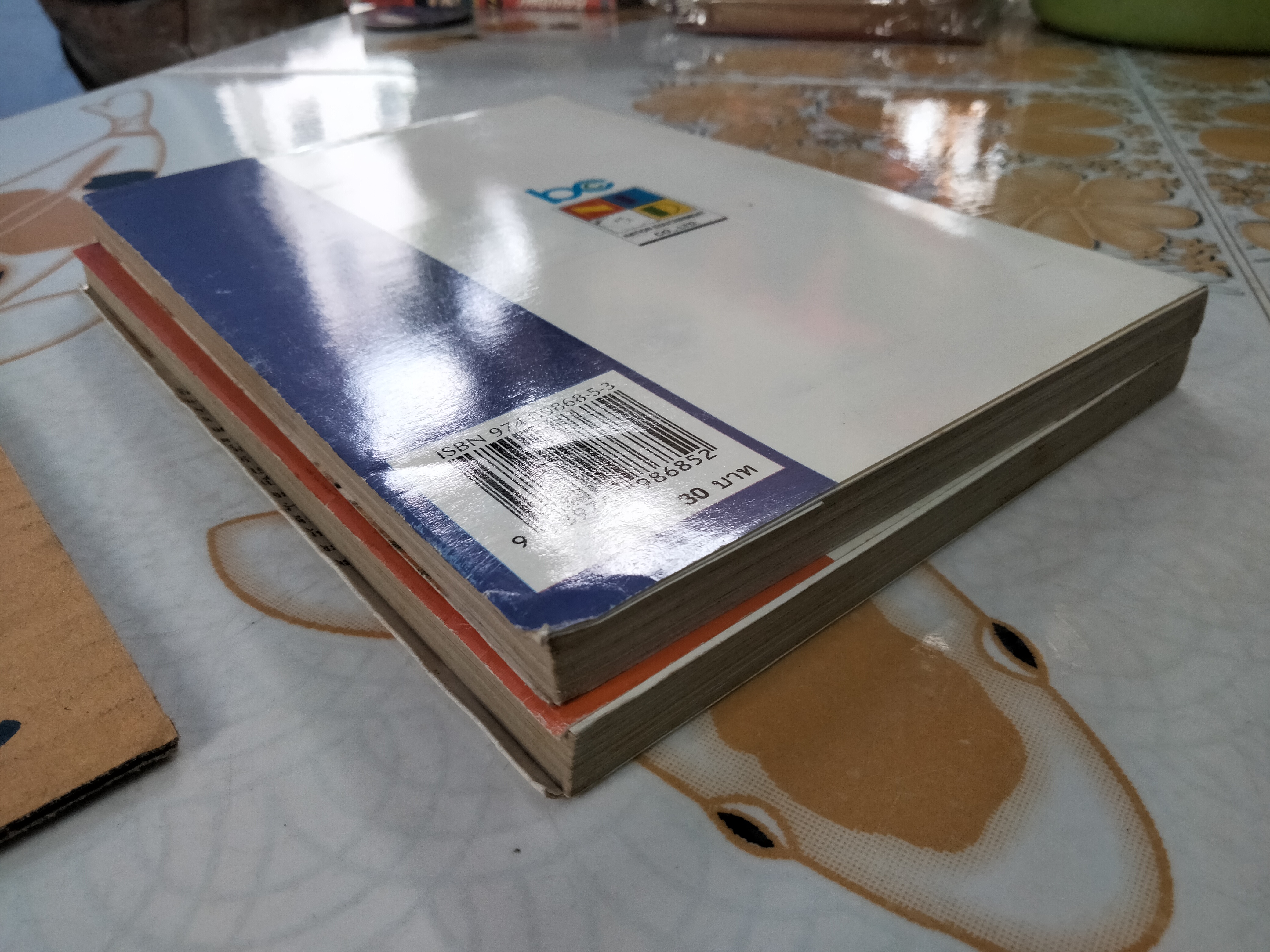 มังกรน้อยหมัดสั่ง (2 เล่มจบ) TAKASHI NOGUCHI BOOM COMICS