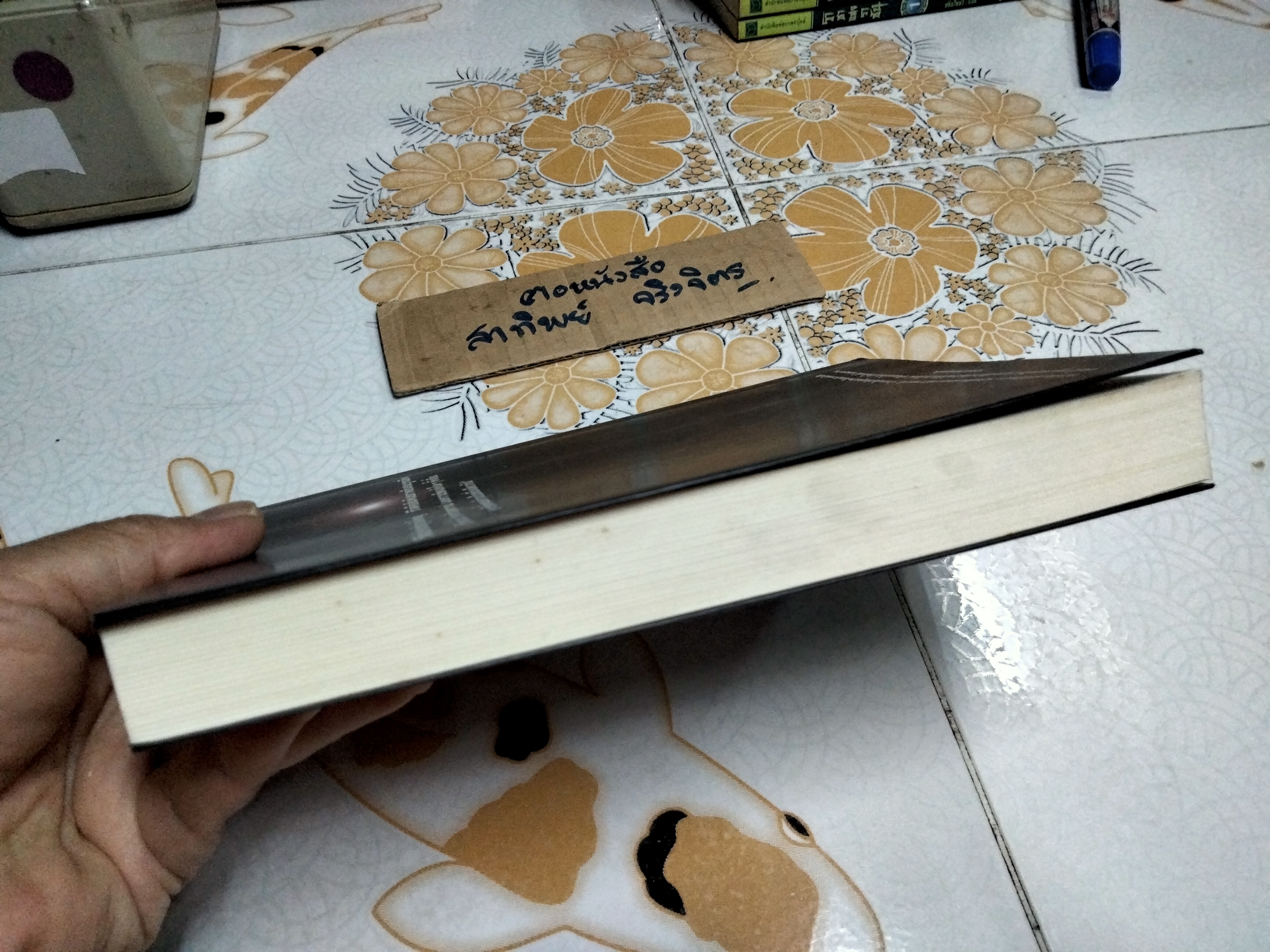 คู่มือชีวิตและการพัฒนาจิตญาณ โดย นายแพทย์ดิลก พูนสวัสดิ์ พิมพ์ครั้งแรก พ.ศ 2547