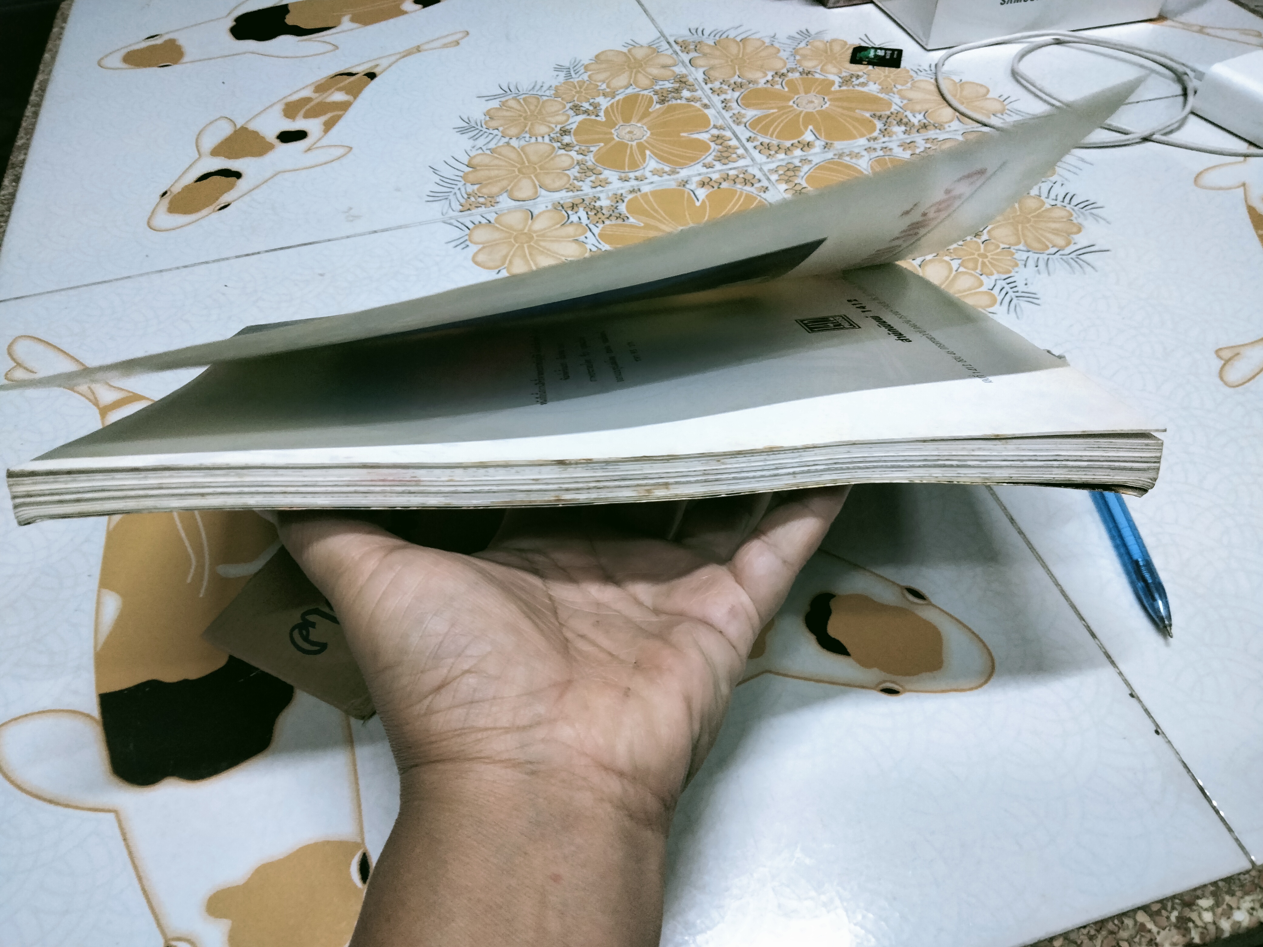 นิทานข้างหมอน โดยไก่อ่อน แห่งเดลินิวส์ รูปประกอบโดย ชีวา บูรณะไทย