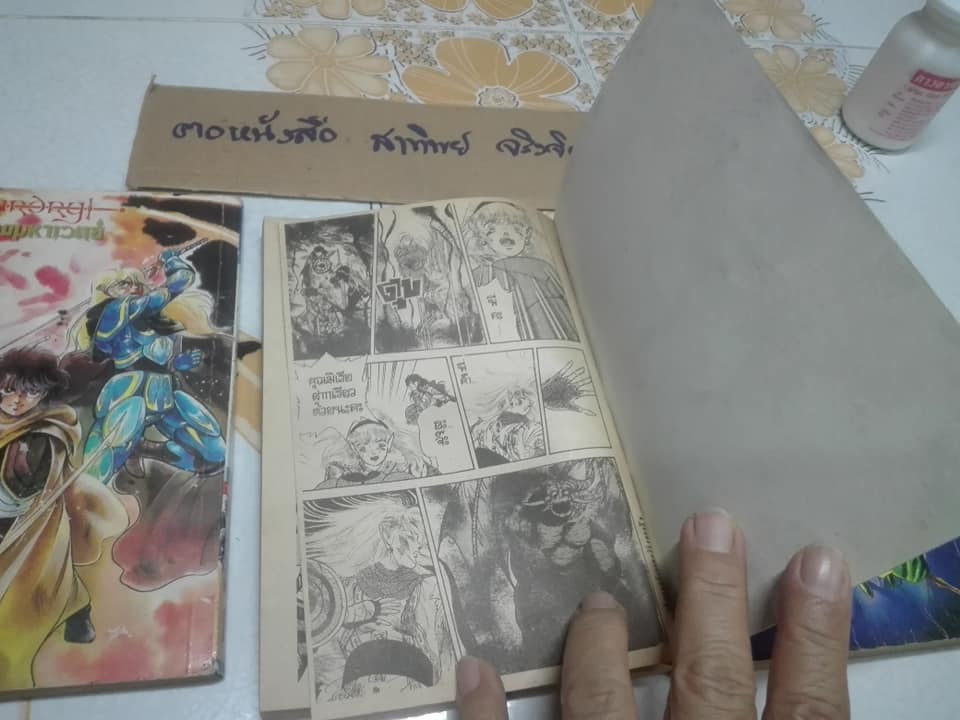 Wizardry สงครามมหาเวทย์ (3 เล่มจบ) สนพ.วิบูลย์กิจ