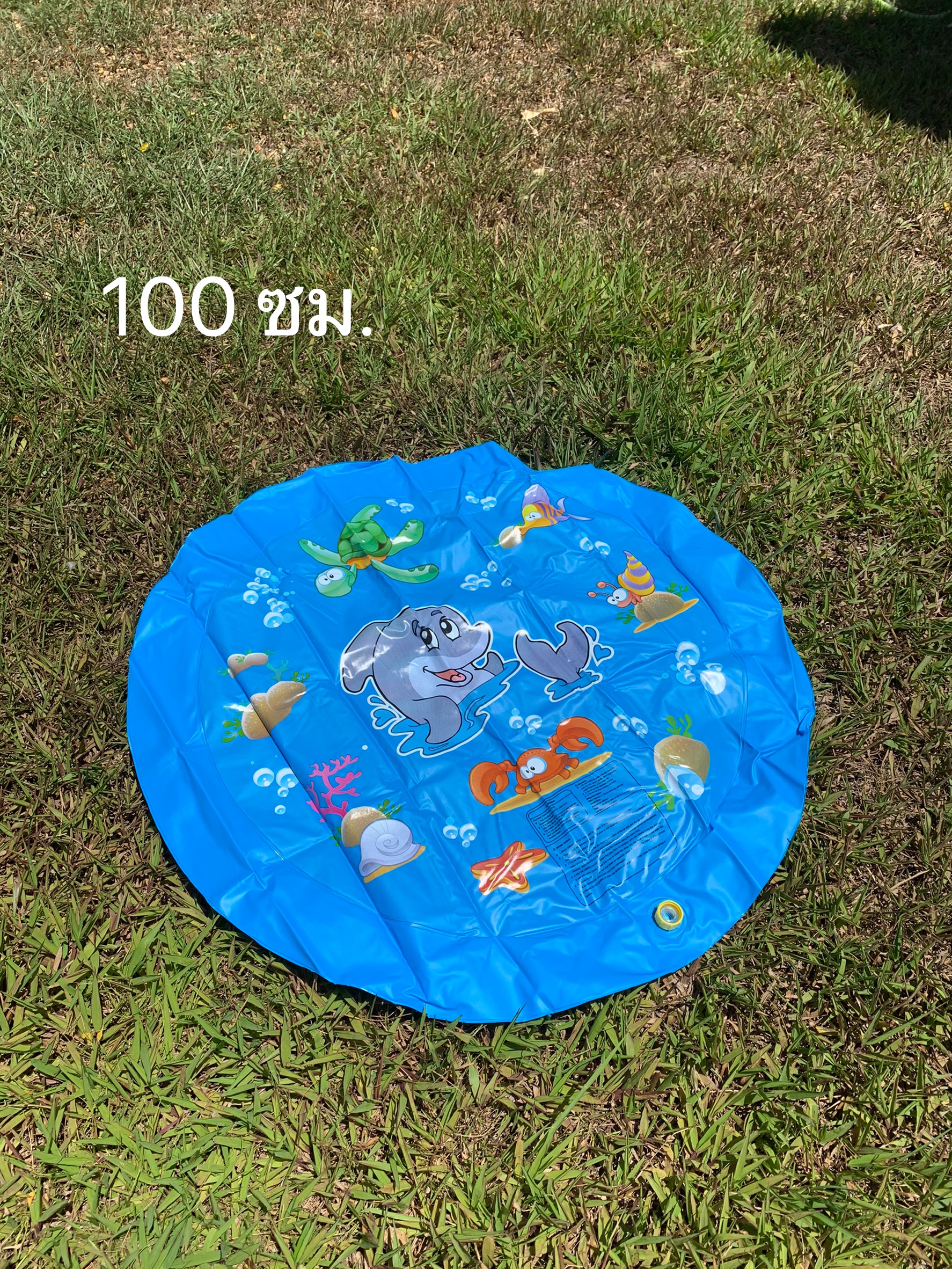 สระน้ำพุ