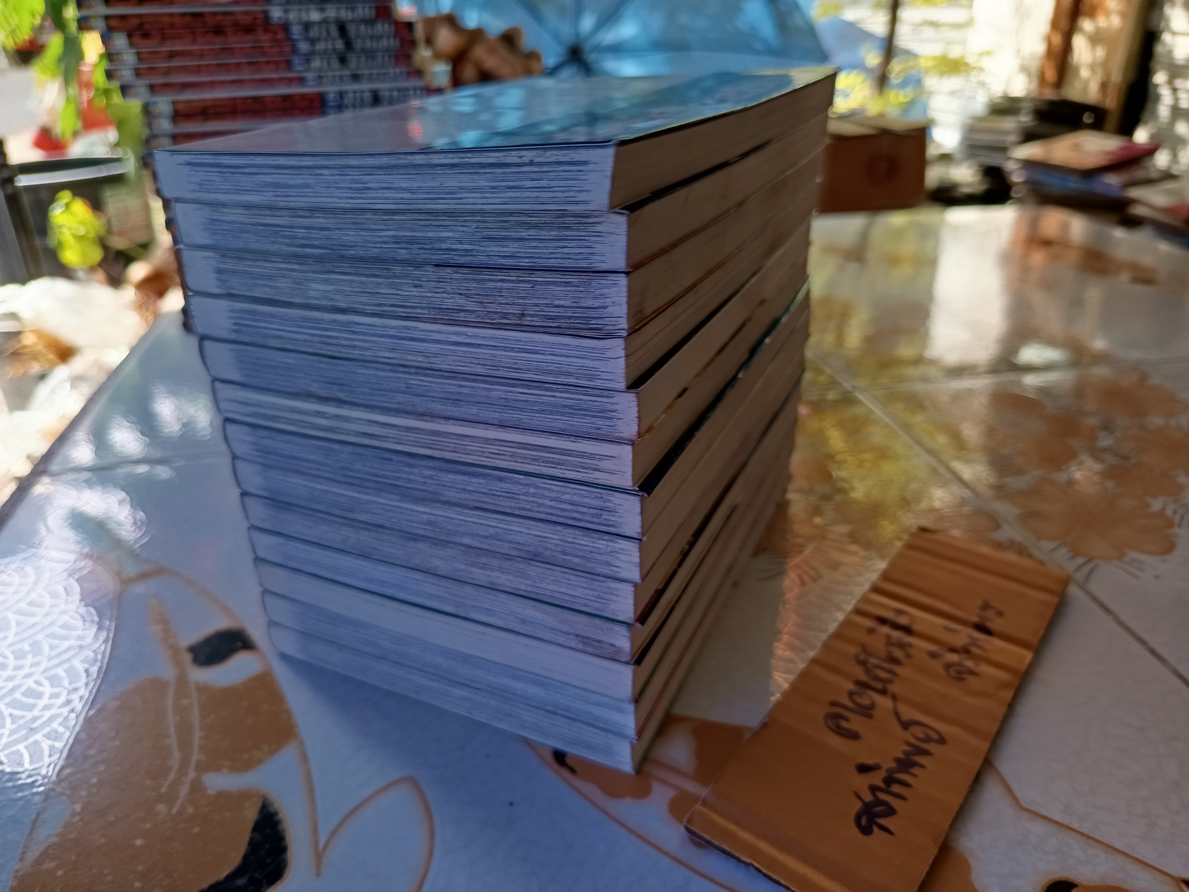 BEELZEBUB เด็กพันธุ์นรกสั่งลุย (มีแค่ 1-13/ 28 เล่มจบ) ขายรวม 13 เล่ม