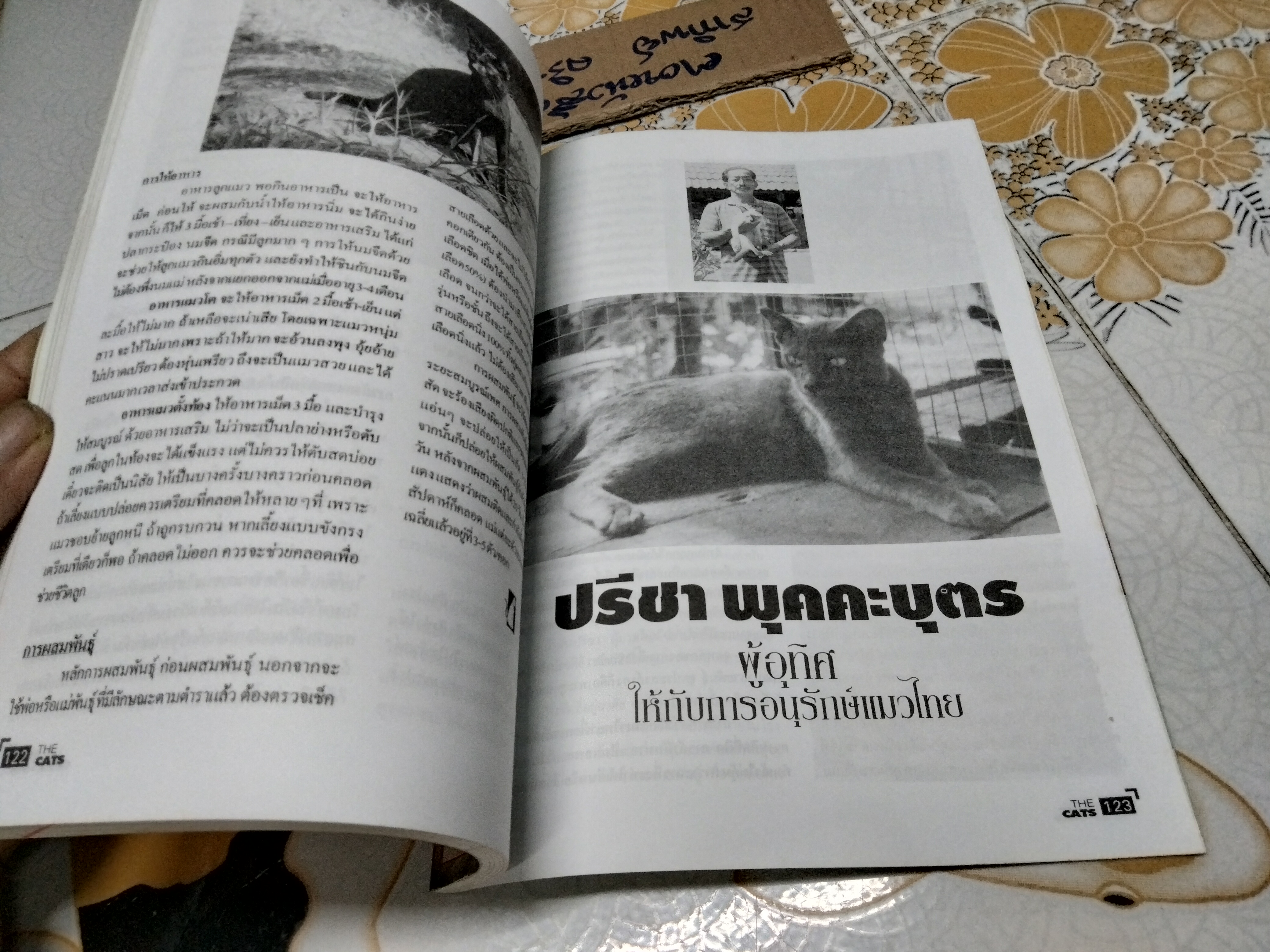 THE CATS คู่มือสำหรับคนรักแมว **สินค้าหมด**