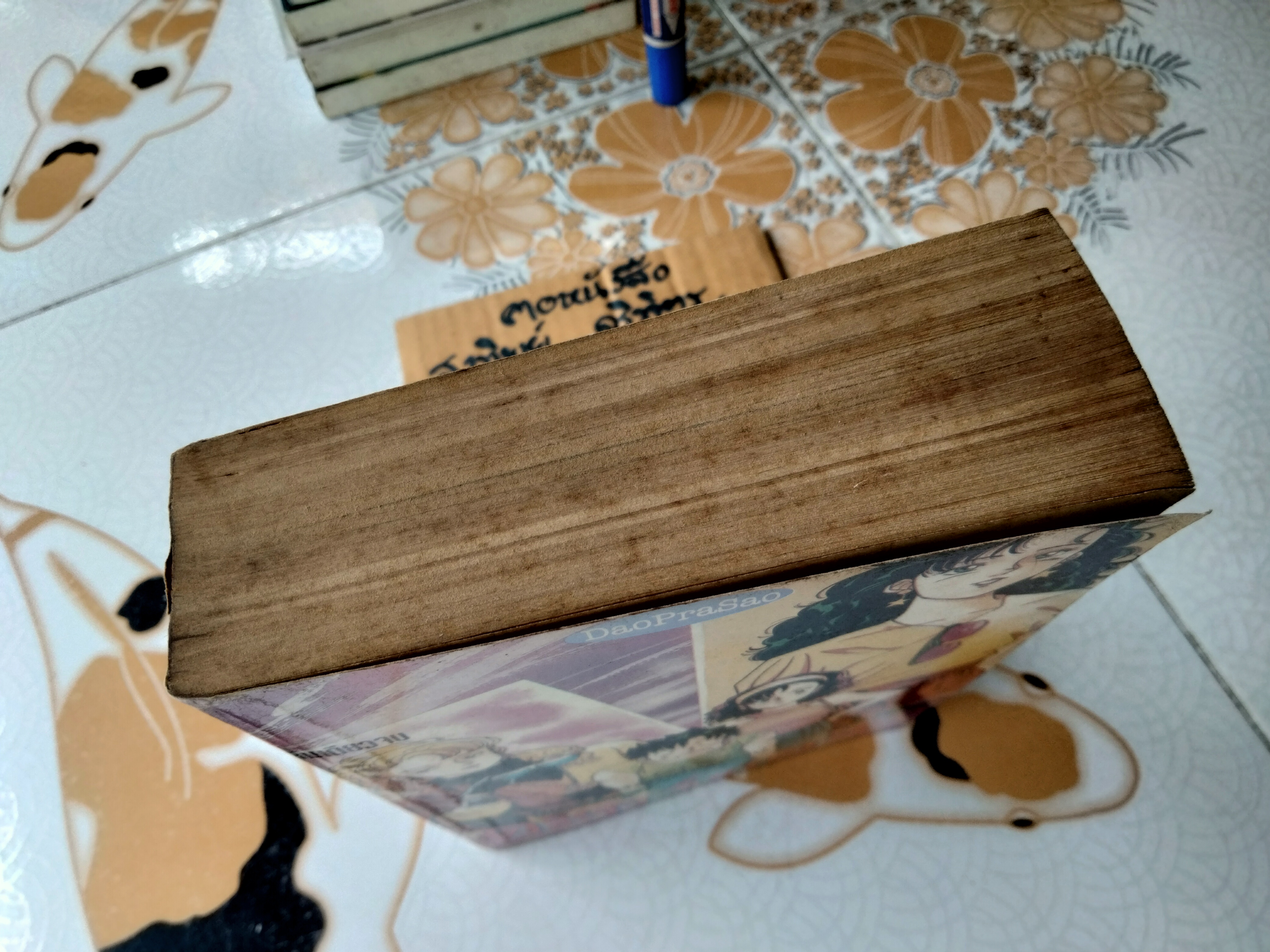 ตะกายดาว Aspirin Dandy (เล่มเดียวจบ) โทมิซาว่า จุน สนพ. Daoprasao