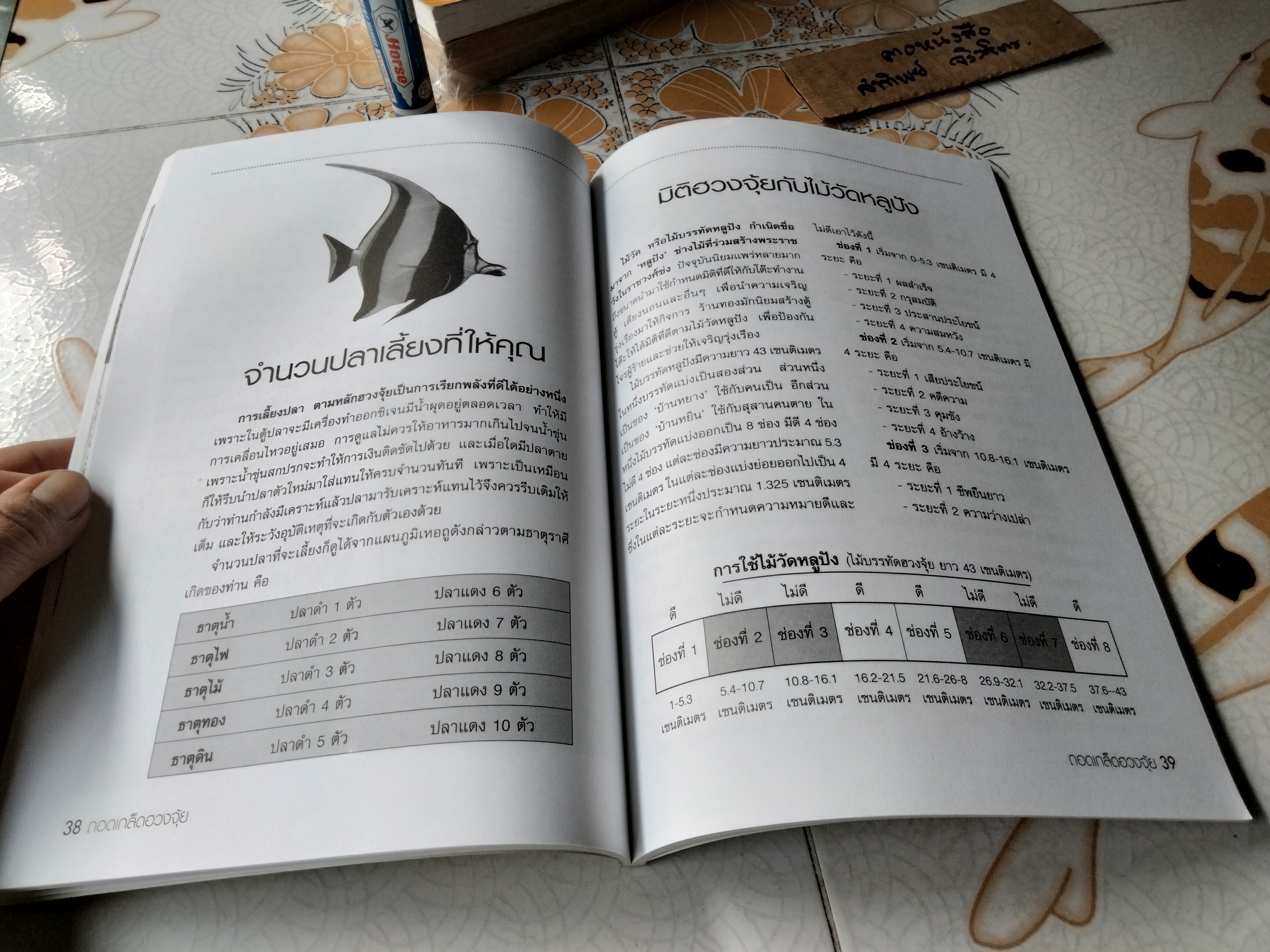 ถอดเกล็ดเคล็ดลับวิธีดูฮวงจุ้ยด้วยตนเอง อ.ถนอม ศักดิ์กิตติ