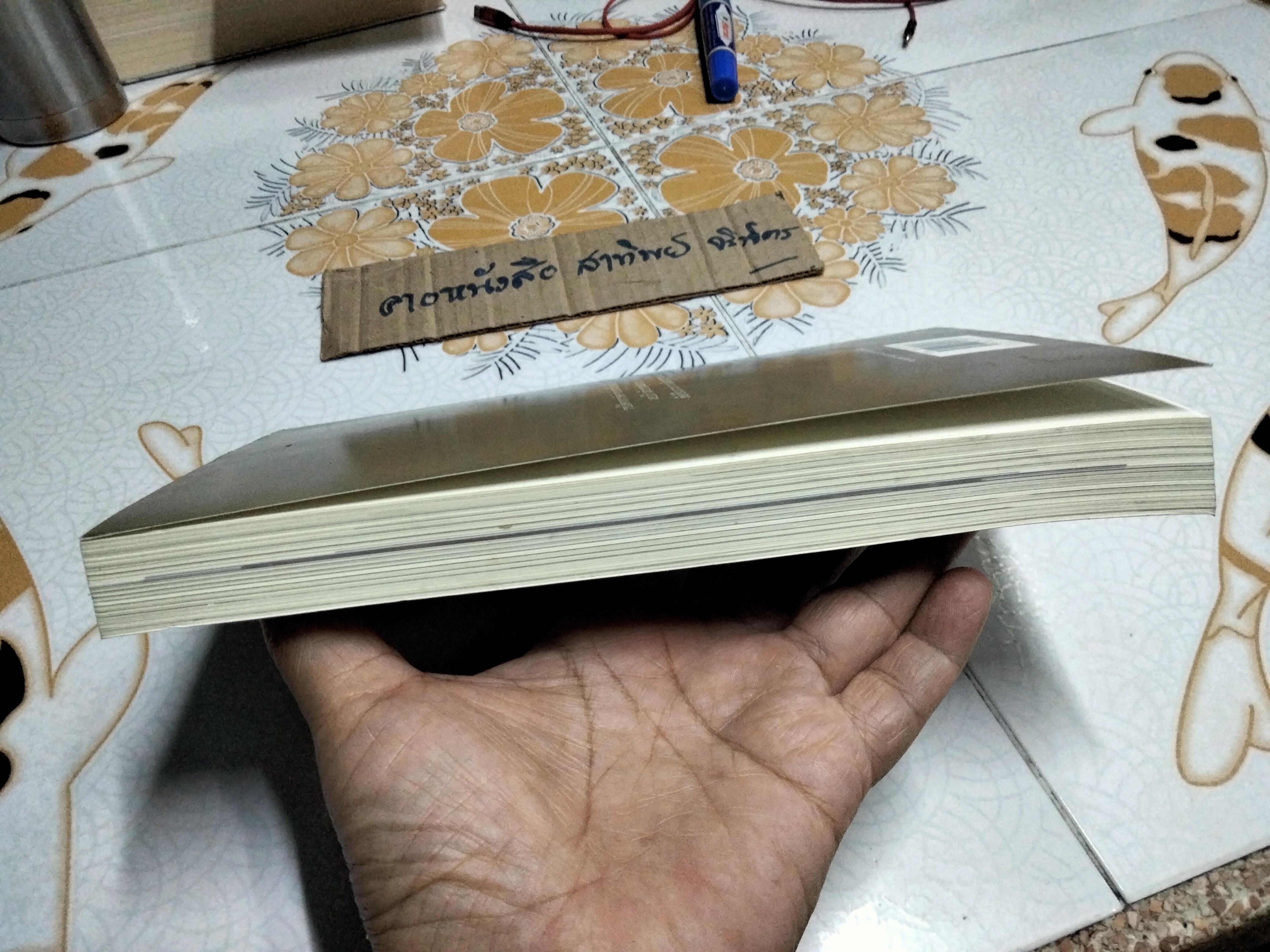 แม่ชีศันสนีย์ เสถียรสุต - ก้าวย่างแห่งปัญญา โดย มนทิรา จูฑะพุทธิ