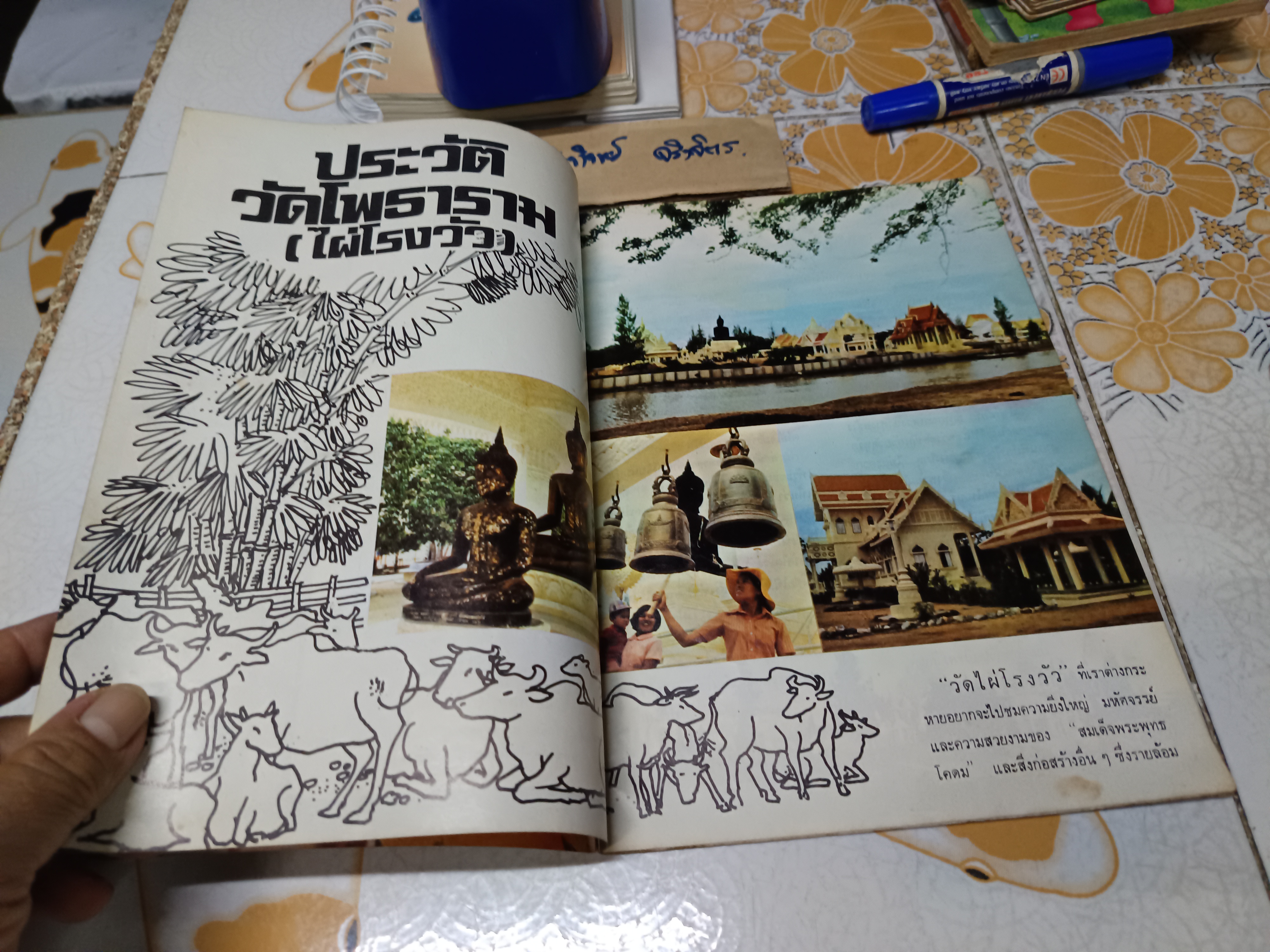 หนังสือ ประวัติวัดโพธาราม (วัดไผ่โรงวัว)