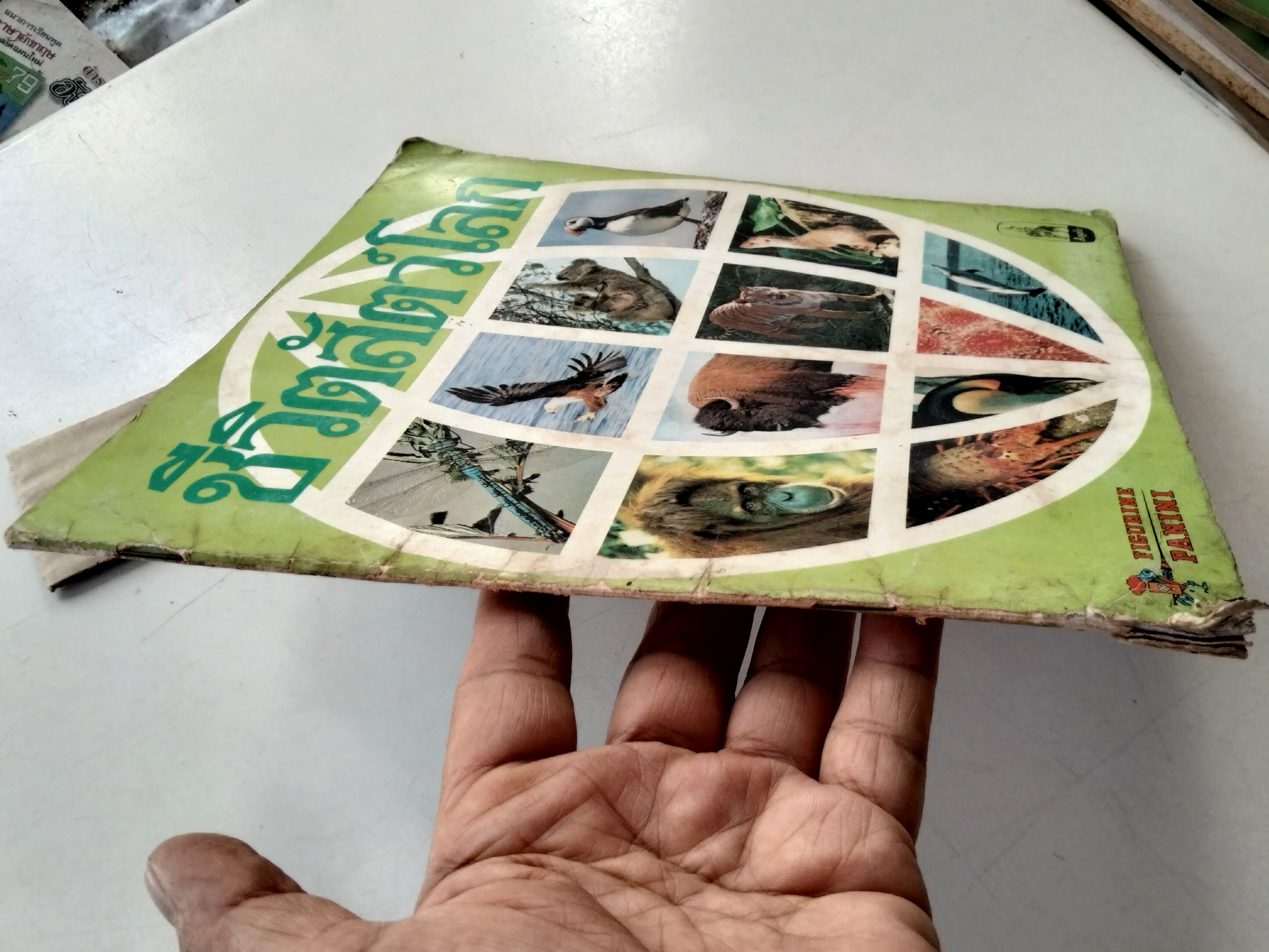 สมุดสะสมสติกเกอร์ ชีวิตสัตว์โลก (แปะครบ 240 รูป) หนังสือมือสอง สภาพพอใช้ **สินค้าหมด**