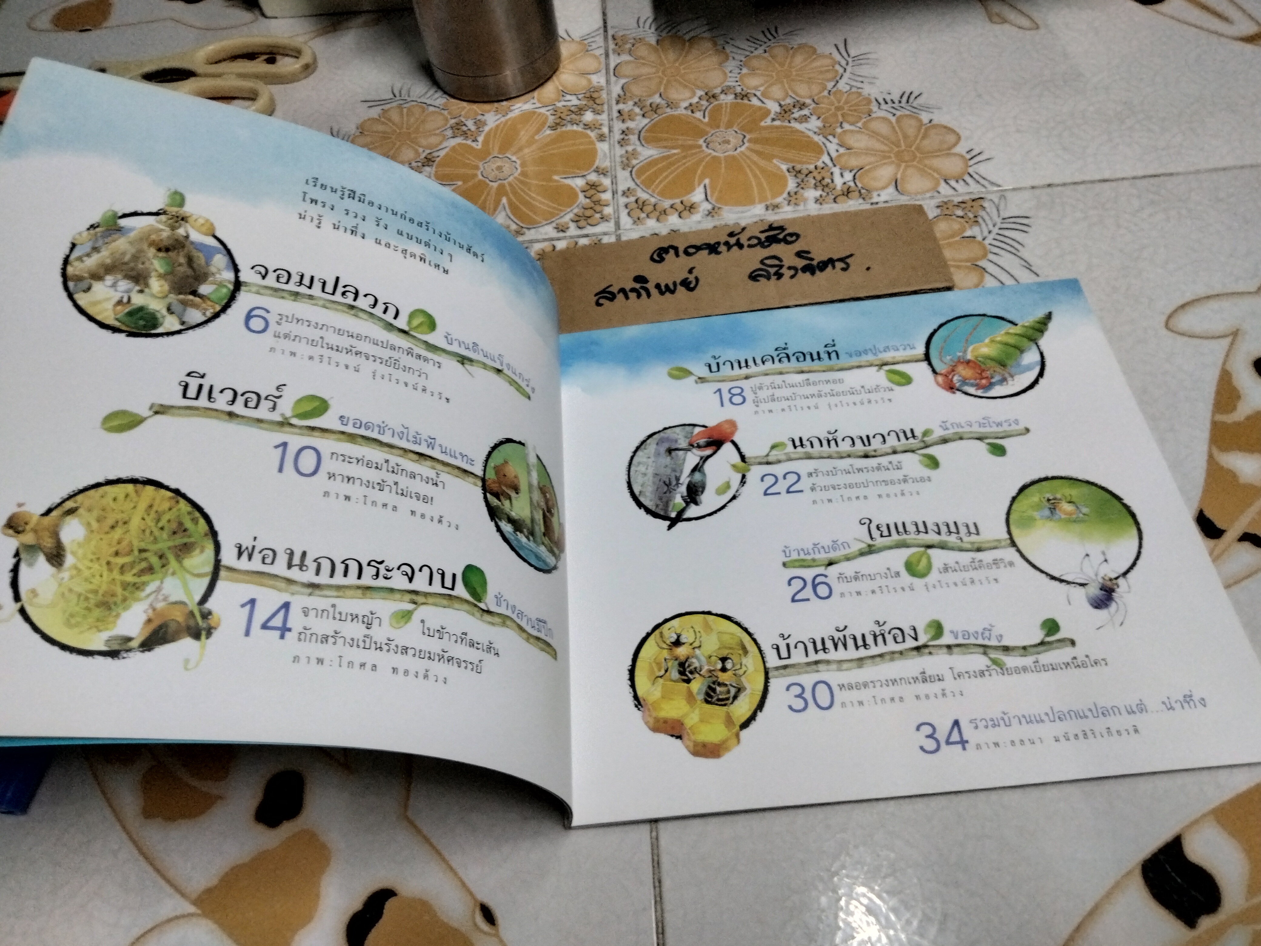 บ้านฉันมหัศจรรย์ (ชุดวิทยาศาสตร์รุ่นเยาว์-แปลกแต่จริง)