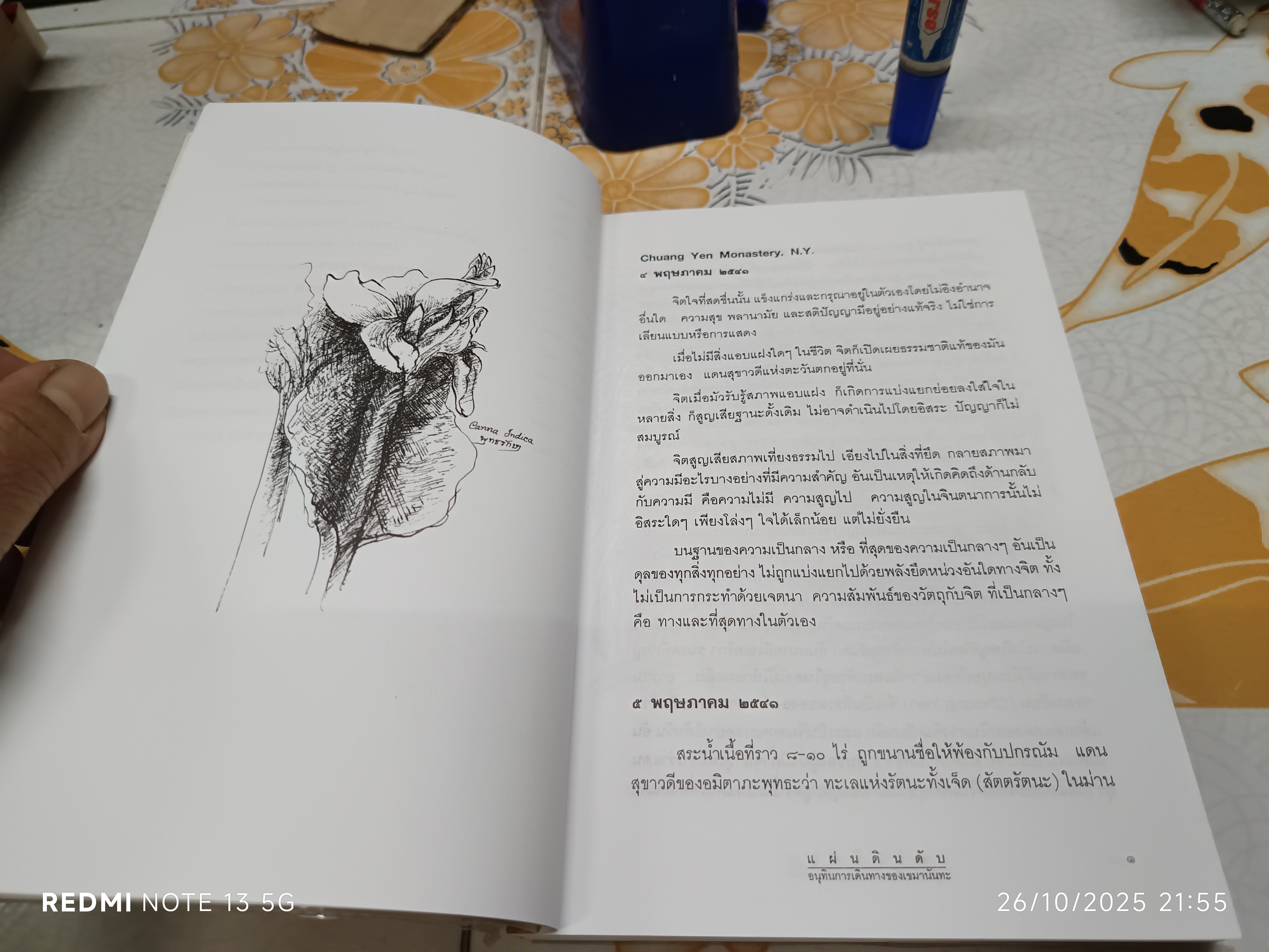 แผ่นดินดับ โดย เขมานันทะ พิมพ์ครั้งแรก พ.ศ. 2543 สำนักพิมพ์ศยาม อนุทินการเดินทางของเขมานันทะ