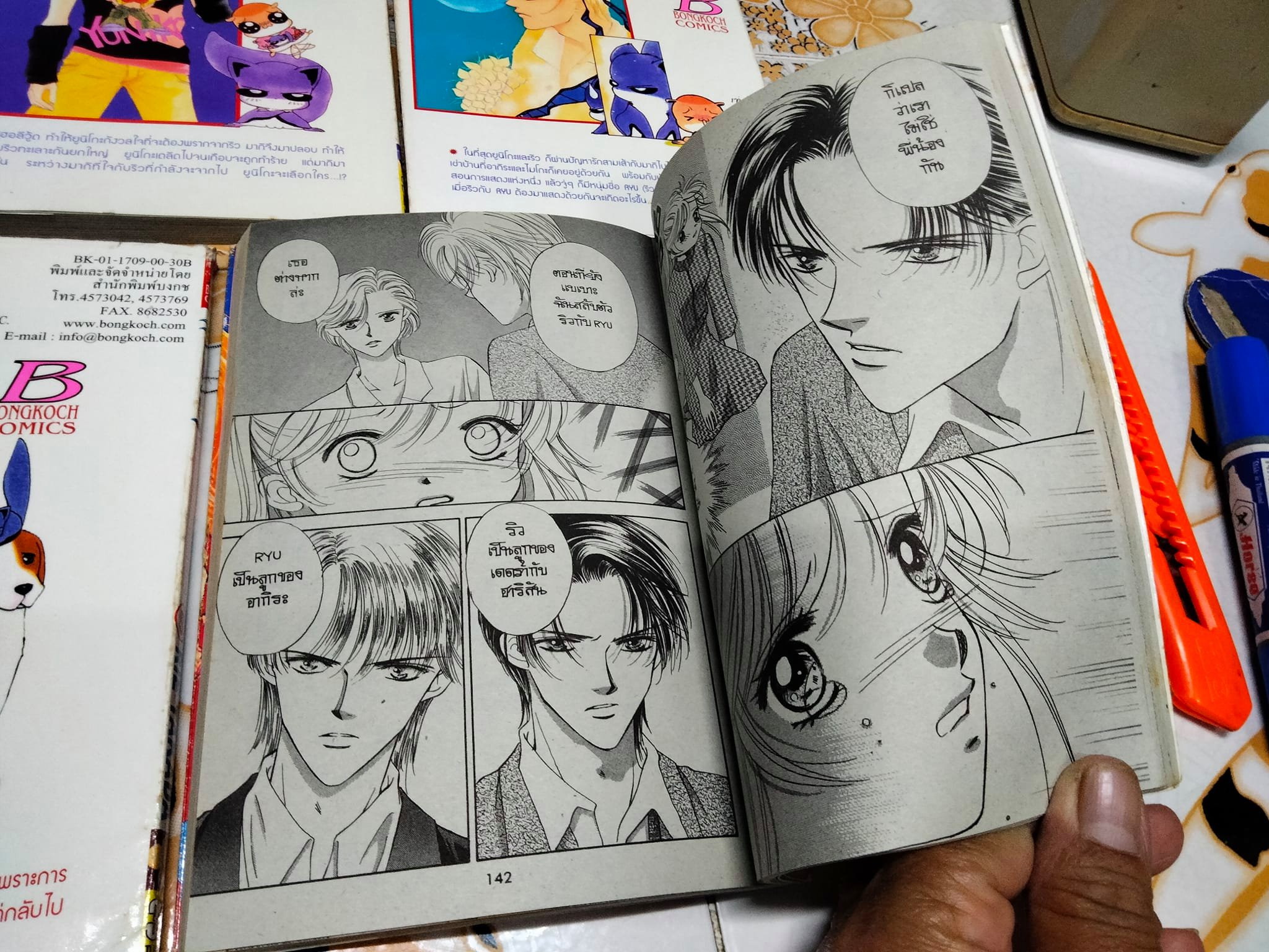 สะดุดรักสาวจอมโจร (WILD ACT) - 10 เล่มจบ