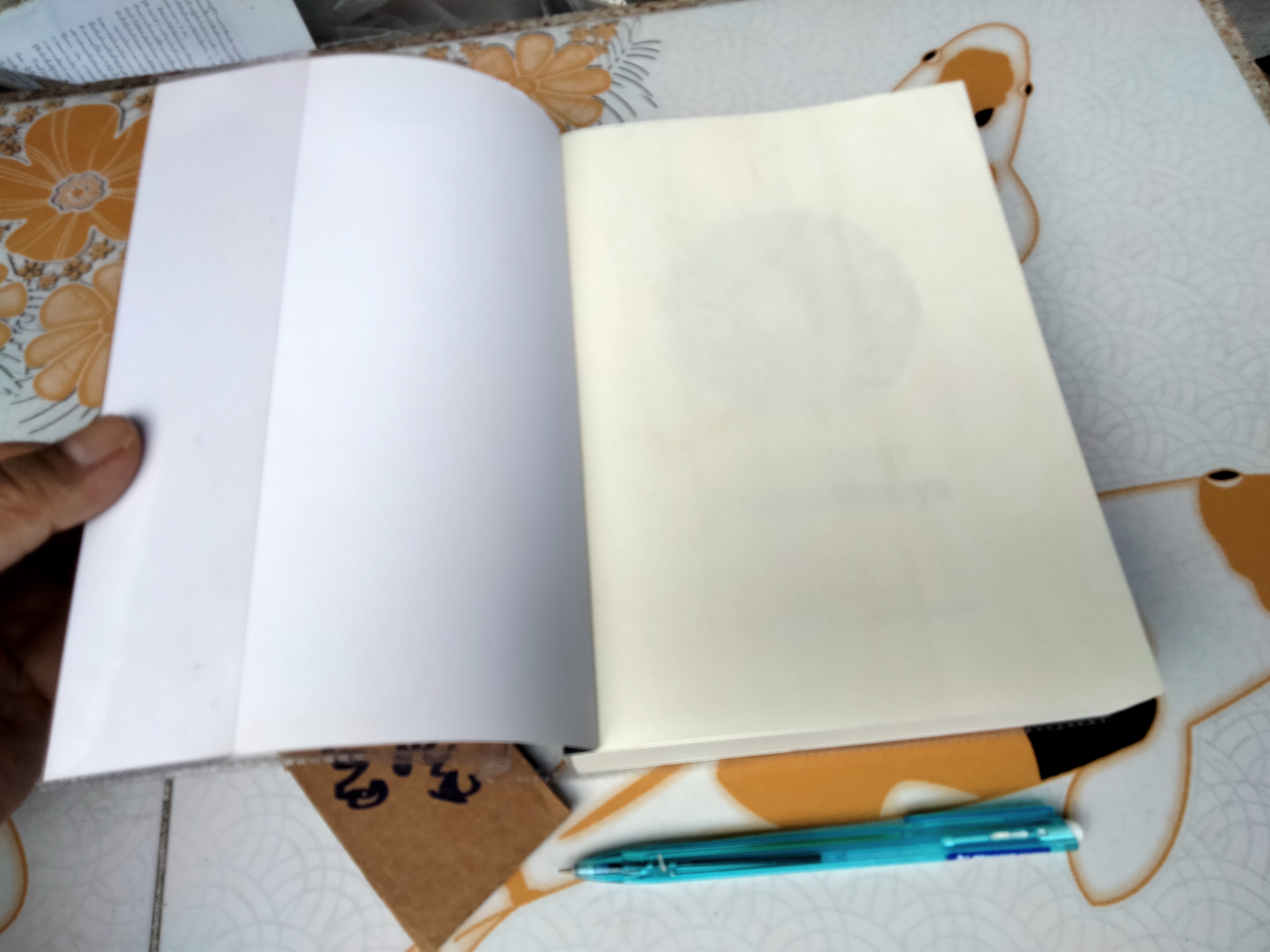 อารียา เมตายา (Areeya Metaya) โดย ธาตรี โภควนิช **สินค้าหมด**