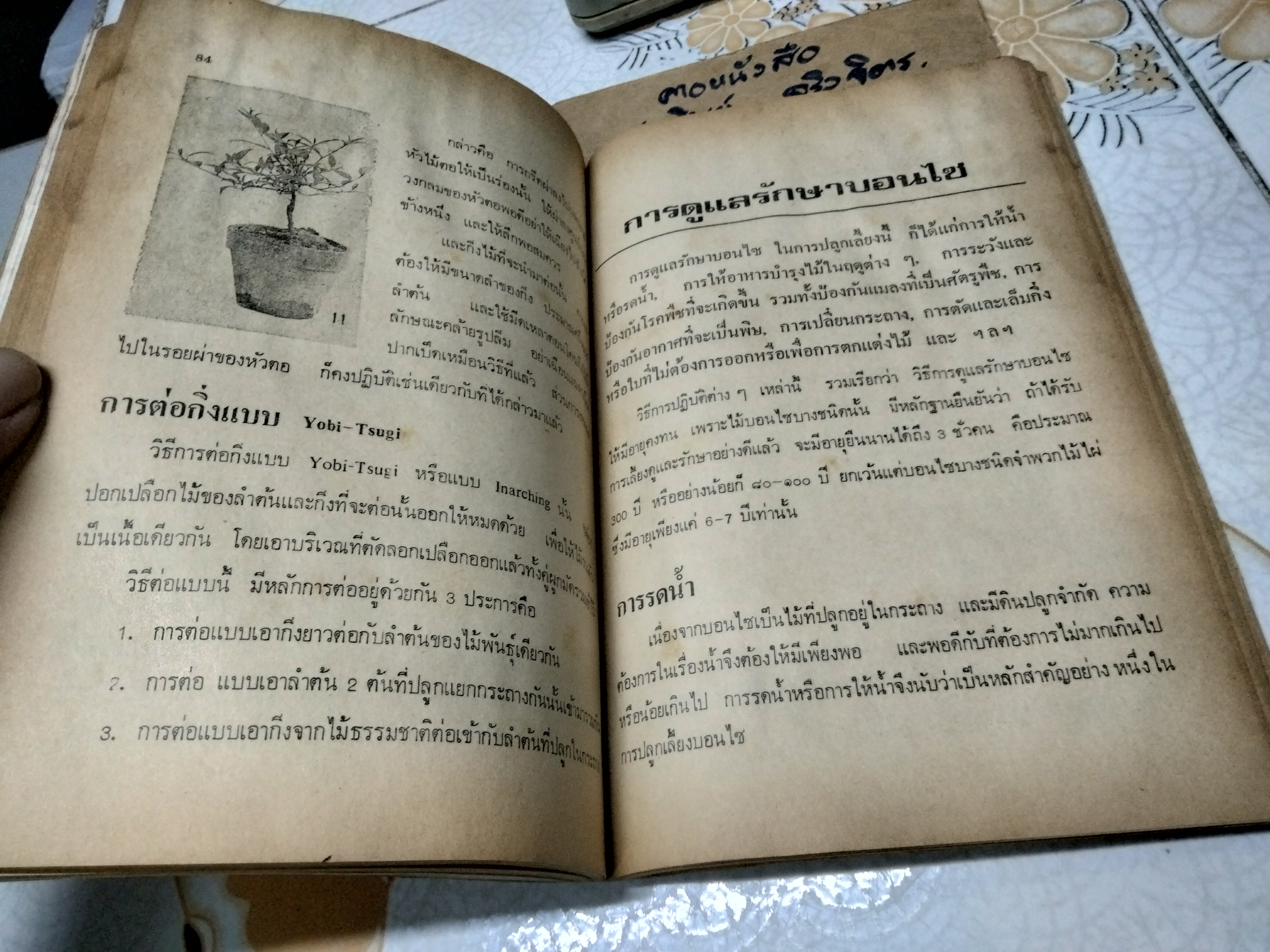 ตำราปลูกเลี้ยง และขยายพันธุ์ บอนไซ BONSAI โดยคณะอาจารย์วิทยาลัยเกษตรศาสตร์