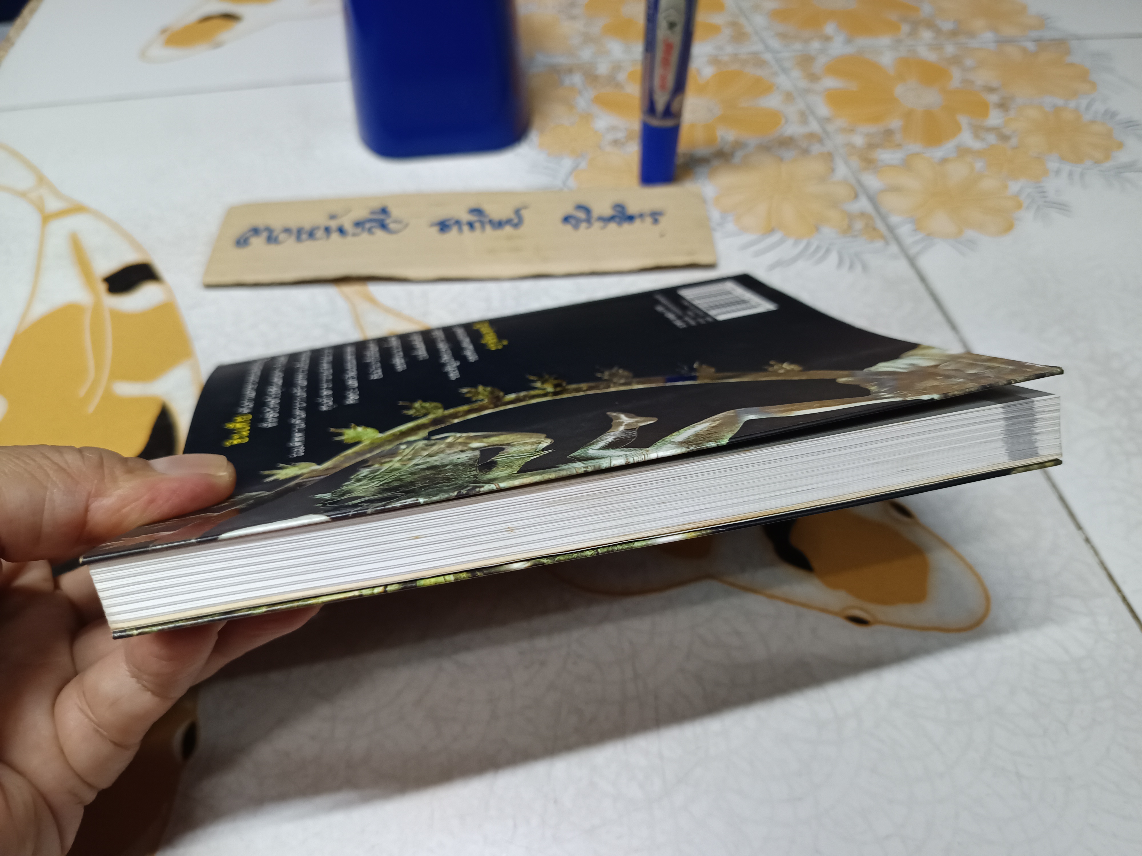 INDIA ความเร้นลับของปฐพีชมพูทวีป โดย ทีมงานต่วย'ตูน