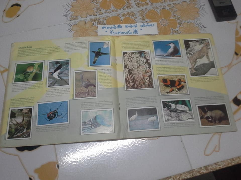 สมุดสะสมสติกเกอร์ ชีวิตสัตว์โลก - แปะครบ (ตัวเล่มมีคราบน้ำ มุมบนมีรอยยับ) **สินค้าหมด**