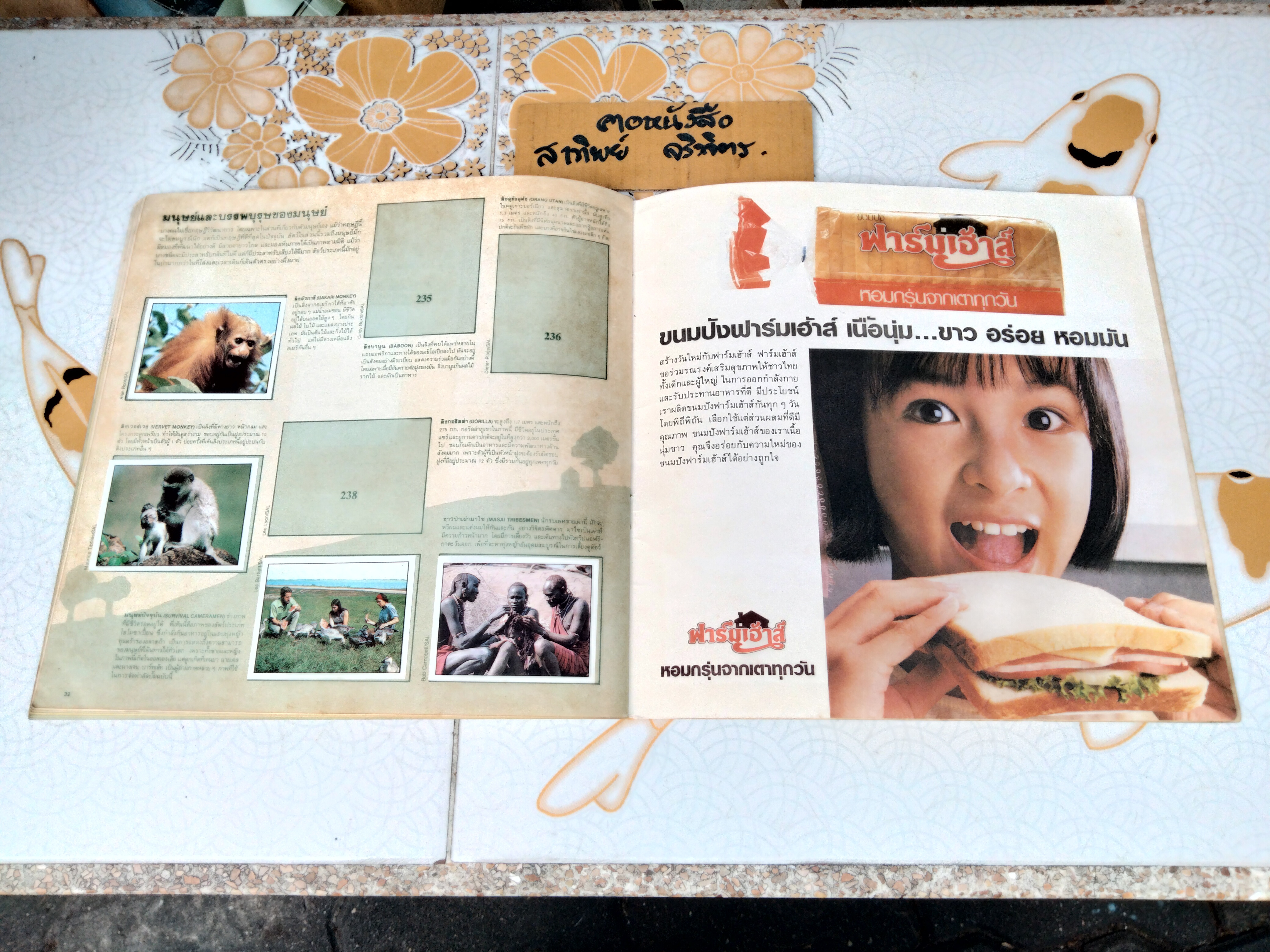 สมุดสะสมสติกเกอร์ ชีวิตสัตว์โลก (แปะไป 66 รูป/ 240 รูป)