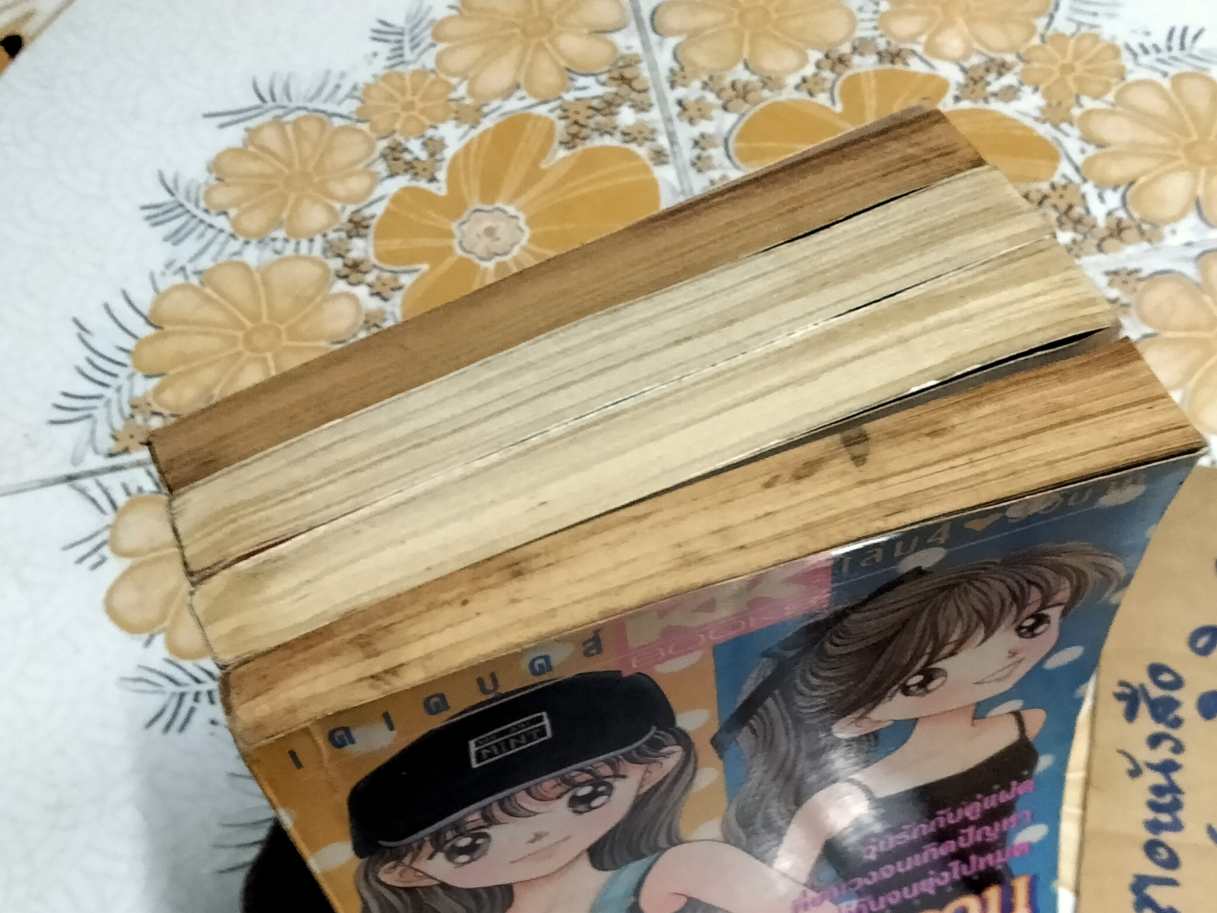 แฝดวุ่นวัยหวาน (4 เล่มจบ)