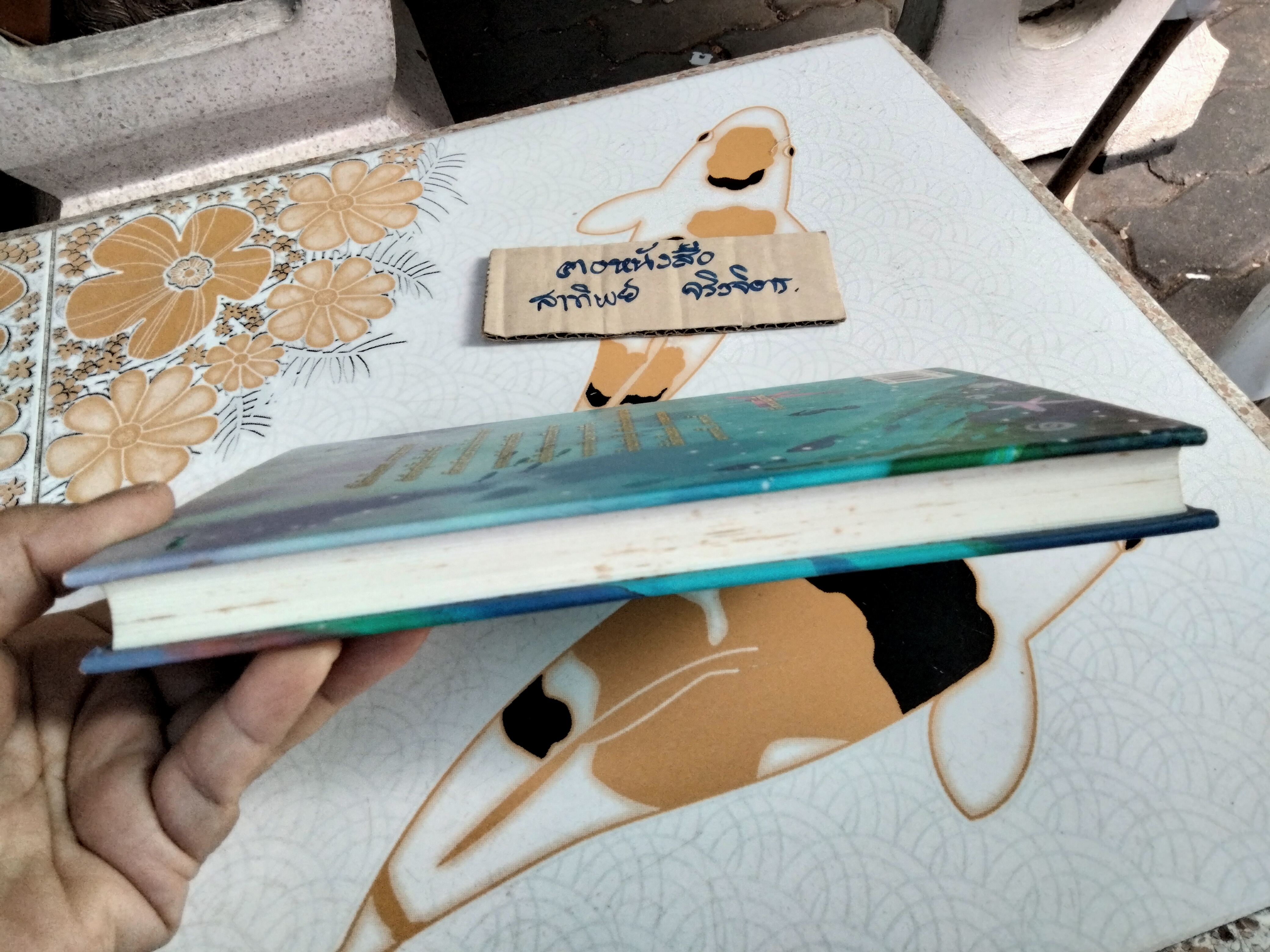 เอมิลีมีหาง (ปกแข็ง) ลิซ เคสส์เลอร์ เขียน , สิริยากร พุกกะเวส แปล