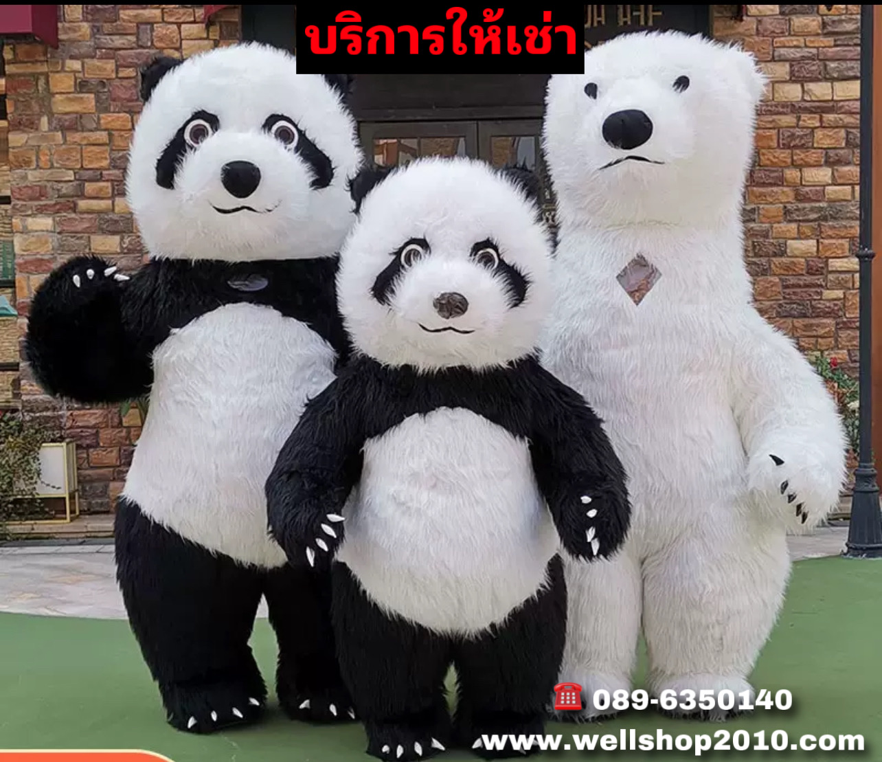 บริการให้เช่าชุดมาสคอตสัตว์ หมีแพนด้า Panda Mascot