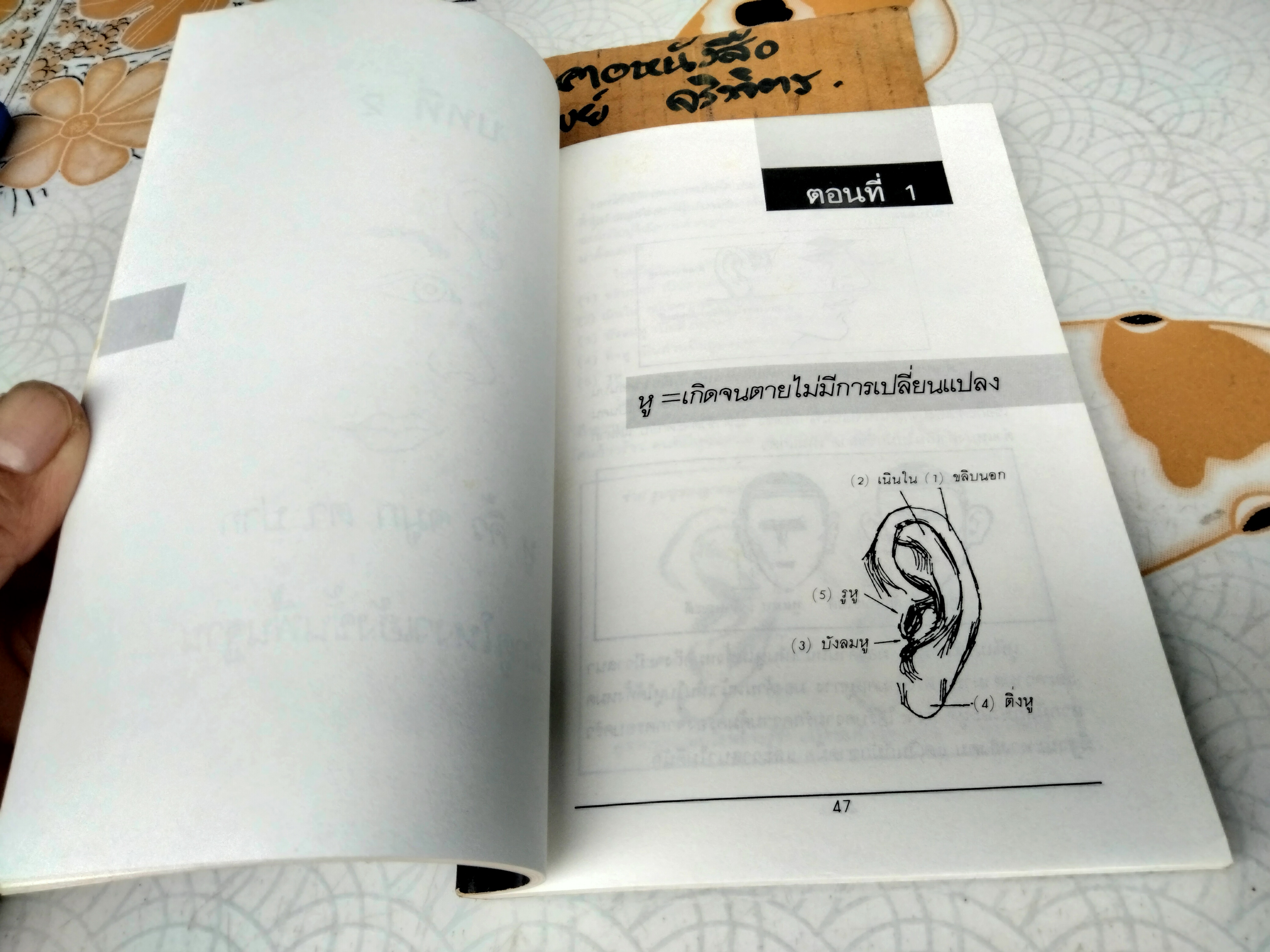 คัมภีร์นรลักษณ์ โดย คเณศ พิมพ์ปีพ.ศ 2530 สำนักพิมพ์นานมี **สินค้าหมด**