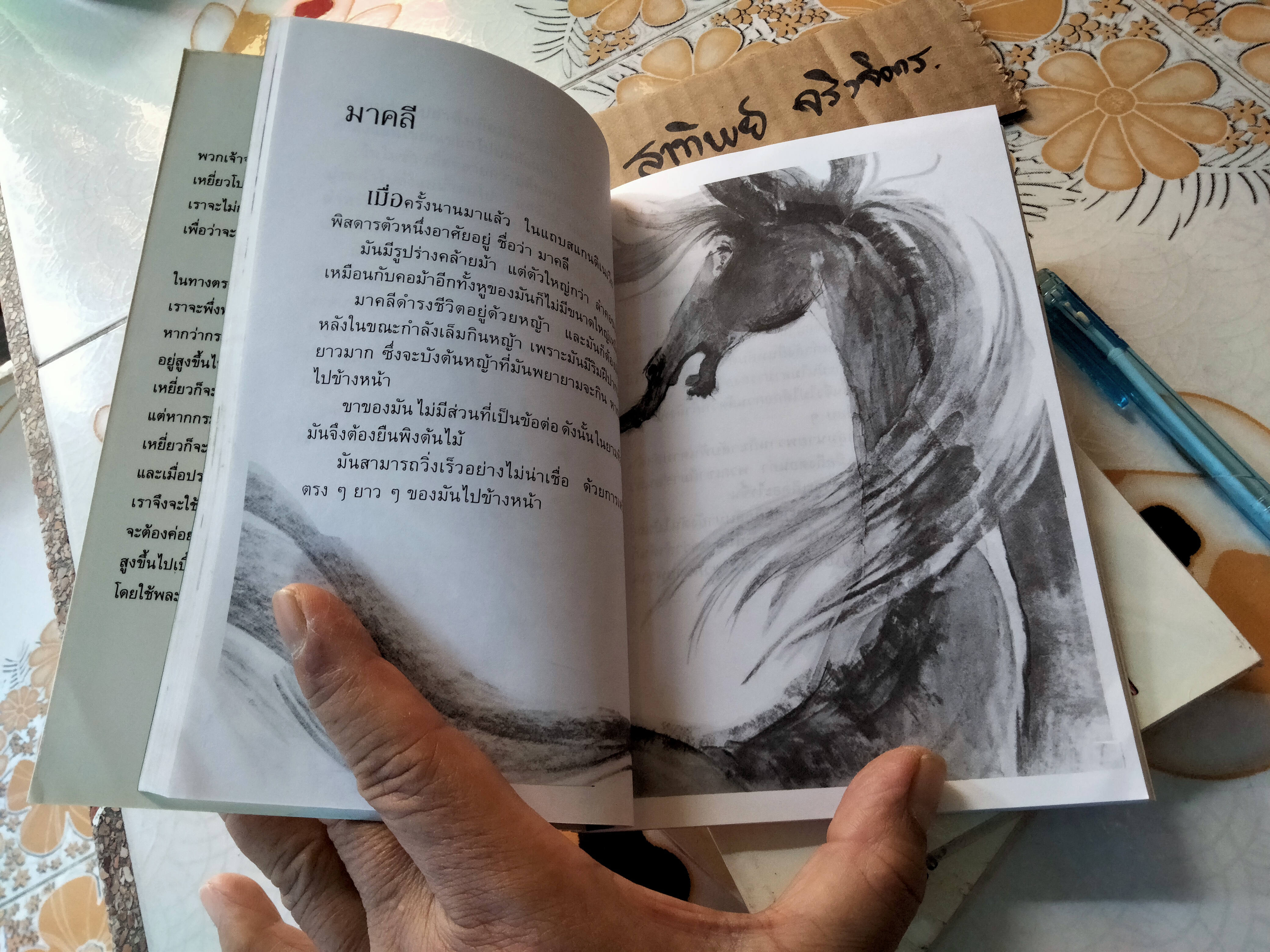 นิทานลีโอนาร์โด ดา วินซี 2 ลีโอนาร์โด ดา วินซี เขียน - วัชรินทร์ อำพัน เรียบเรียง