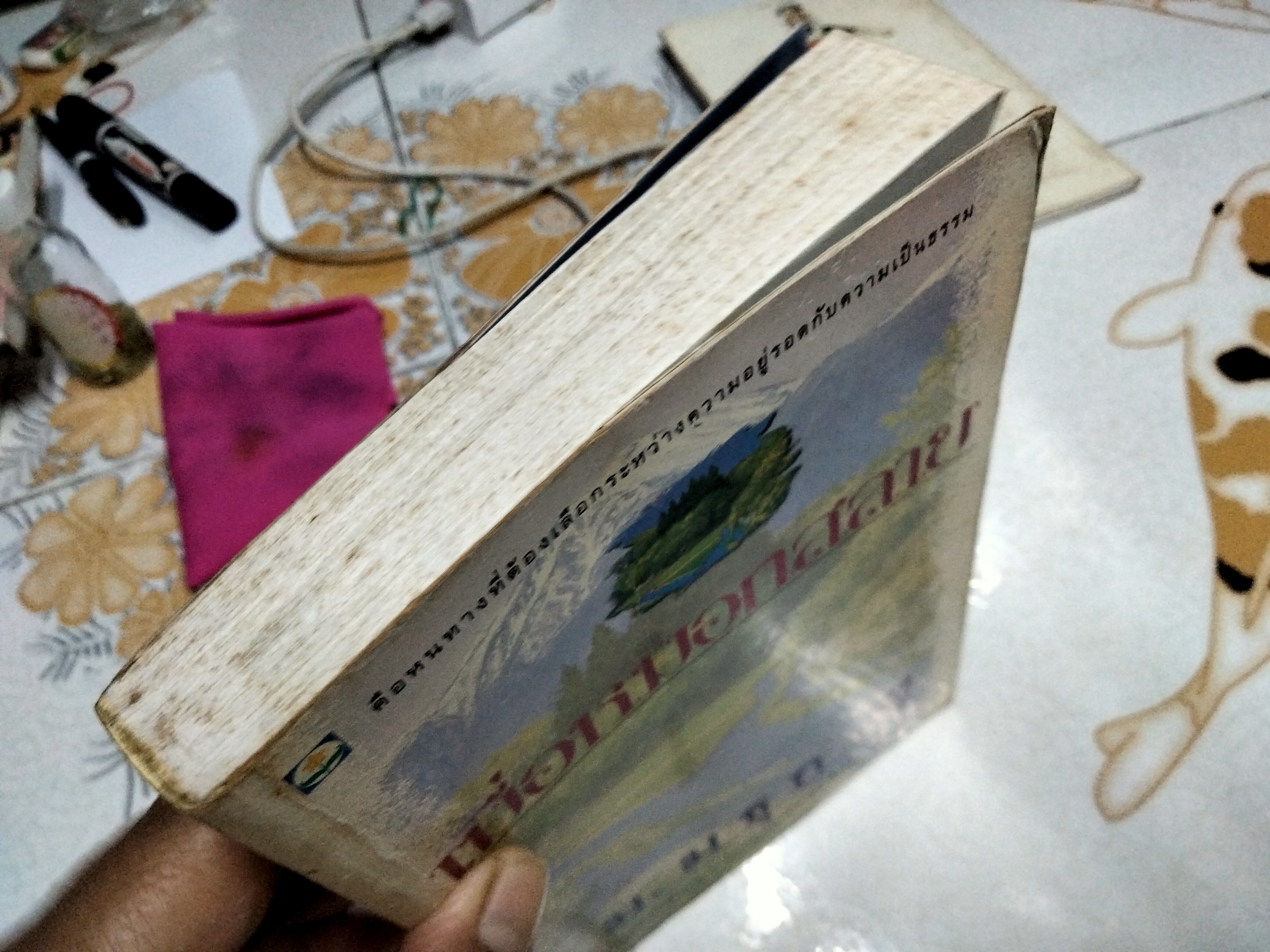 เมื่อหมอกสลาย (เล่มเดียวจบ) ม.มธุการี **สินค้าหมด**