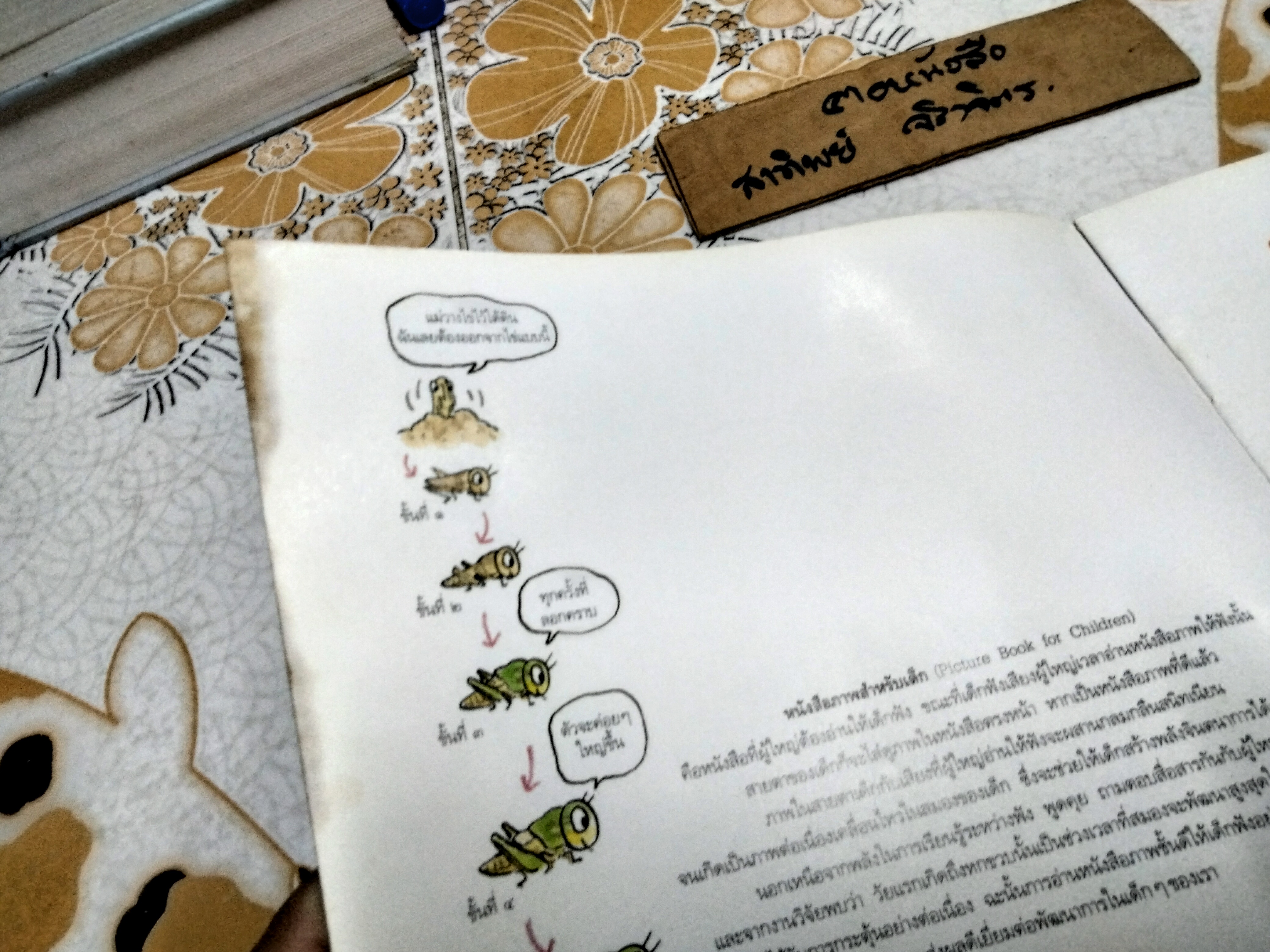 ตั๊กแตนหนวดสั้น หนังสือชุด ลูกรักเรียนรู้วิทยาศาสตร์