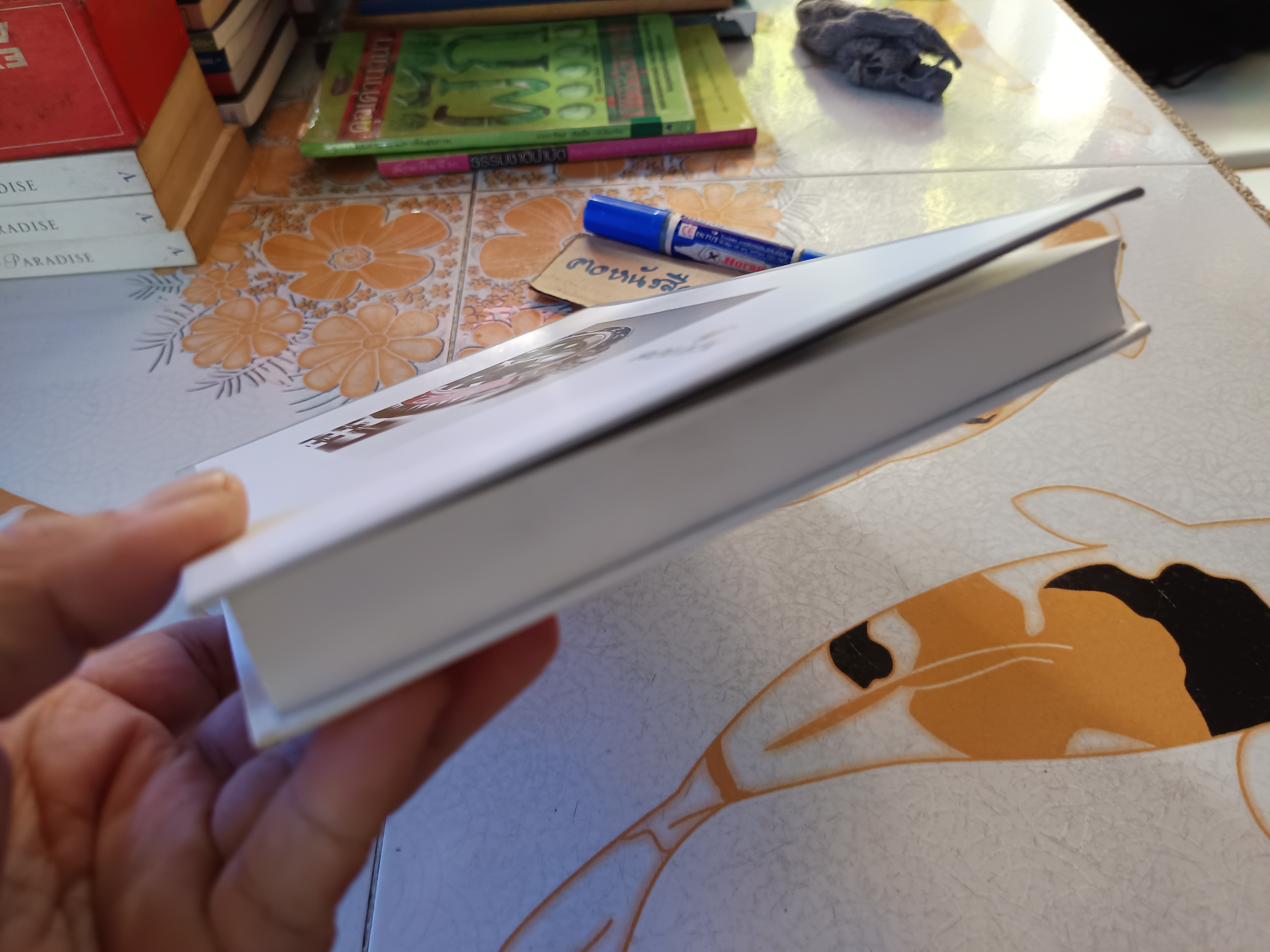 Rolex Watches 2018-2019, Watch Catalog แคตตาล็อกปกแข็ง **สินค้าหมด**