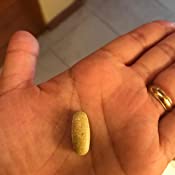 (Pre Order) Nature's Way® Alive!® Once Daily Women's 50+ Multi-Vitamin 60 Tablets Premium Formula - Ultra Potency วิตามินสำหรับผู้หญิงวัย 50+ ที่สมบูรณ์ที่สุด รวมสารอาหารกว่า 60 ชนิด