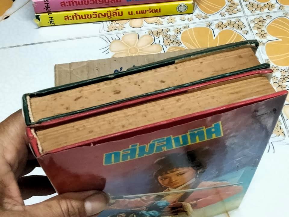 ถล่มสิบทิศ-ลิ้มชั้งเอี้ยง 2 เล่มจบ