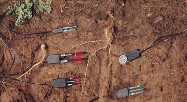 หัววัดความชื้นในดิน Soil Moisture Sensor